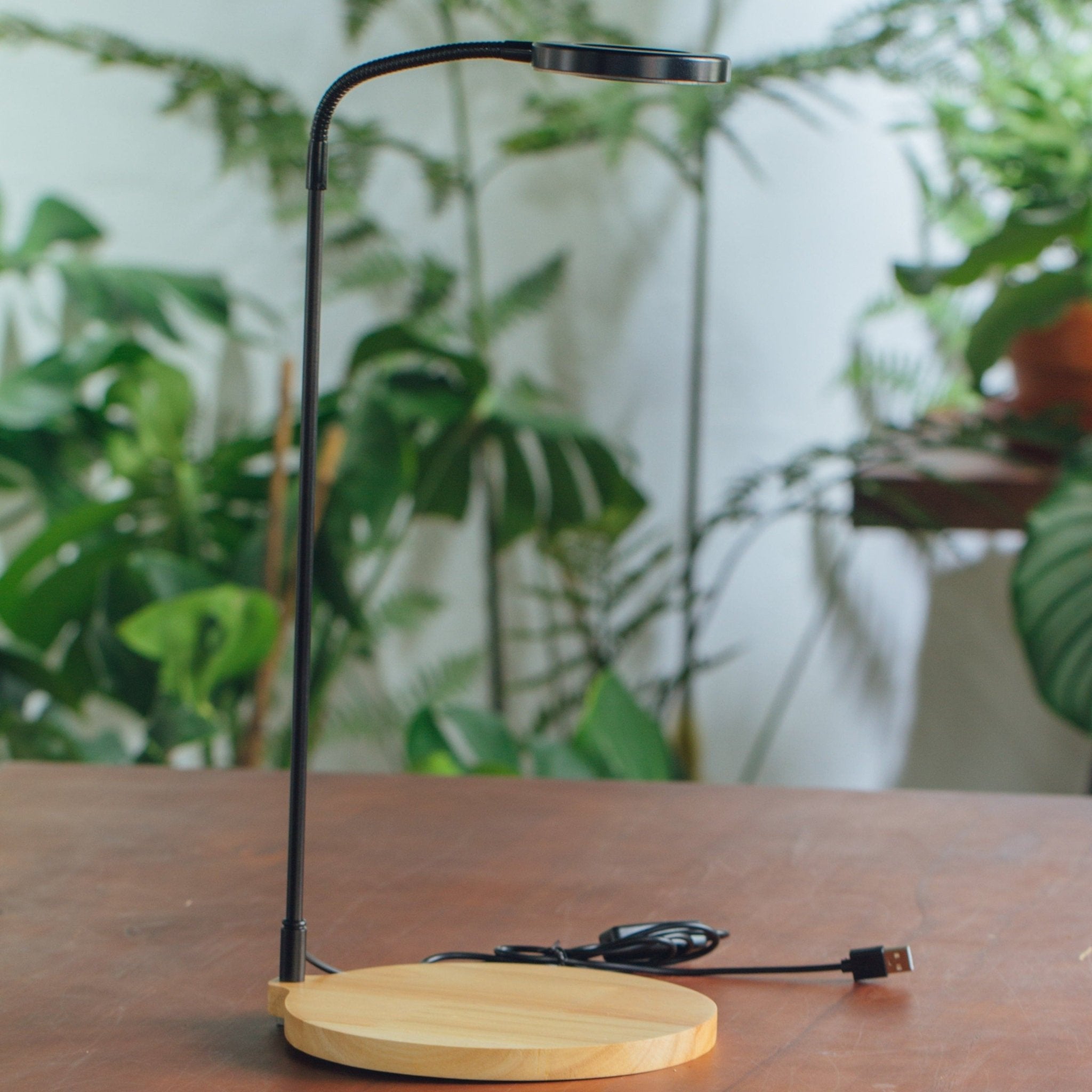 led grow lights for bonsai tree Customizable LED Grow Light