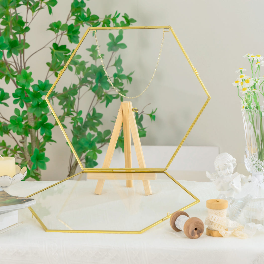 Wall Hanging Hexagon 12" Herbarium Brass Glass Frame for Thick Pressed Flowers, Dried Flowers, Poster, Coin, Double Glass, floating Frame - NCYPgarden