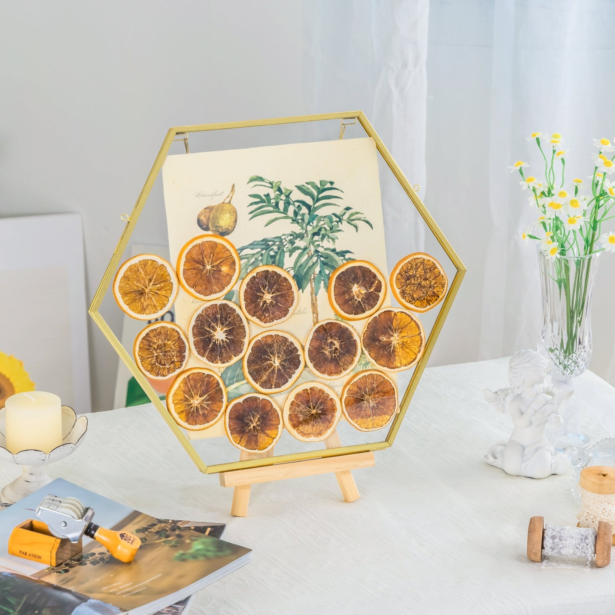 hanging frame for plants Wall Hanging Hexagon 12" Herbarium Brass Glass Frame for Thick Pressed