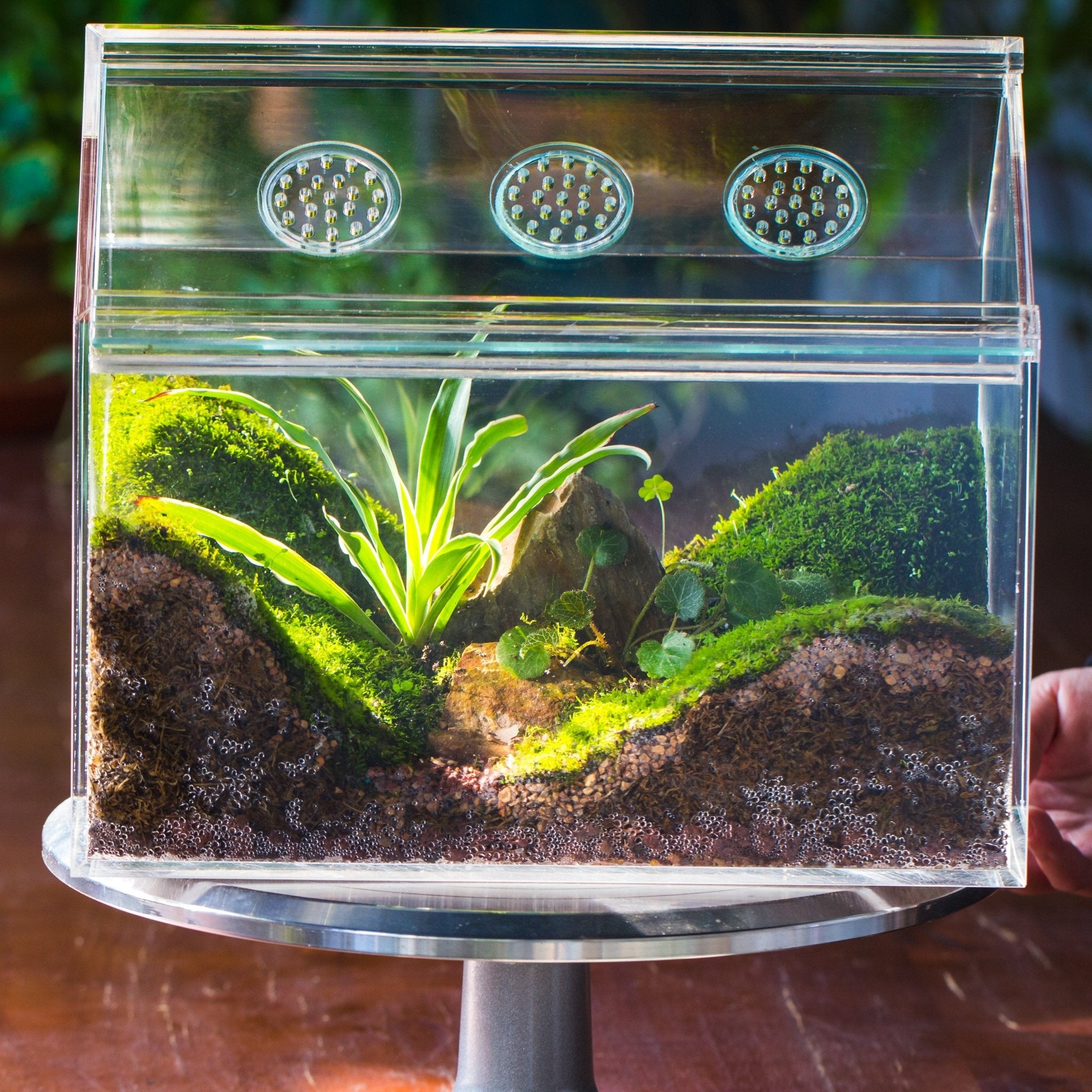 freshwater terrarium plants Handmade Water-Tight Sealed Enclosed House Acrylic Terrarium