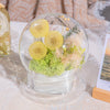 Yellow Presered Dandelion Set 3 pcs Dried Flowers, DIY Material for Bouquet - NCYPgarden