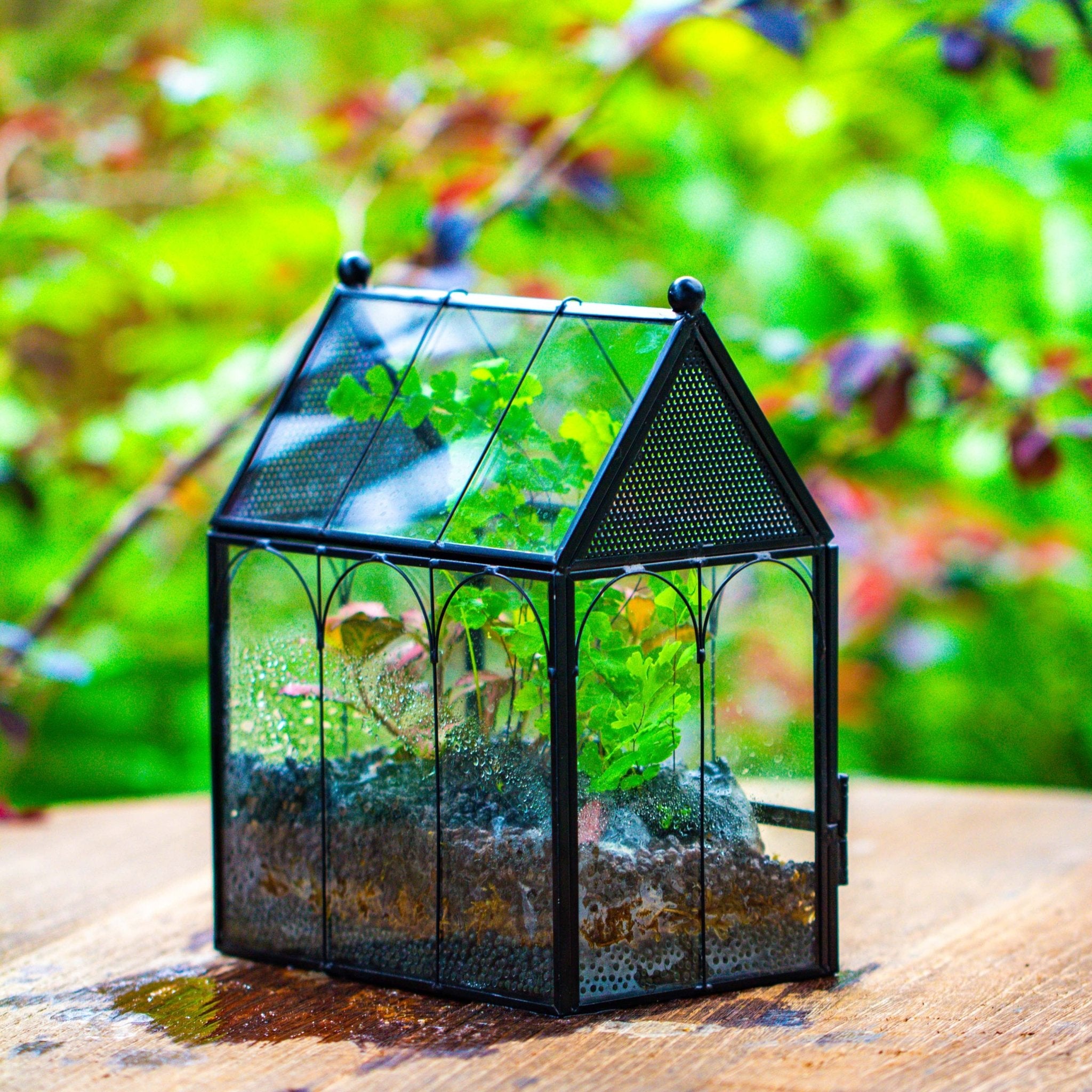 spider plant terrarium Vintage Mini House Shape Glass Geometric Terrarium for Jumping spider