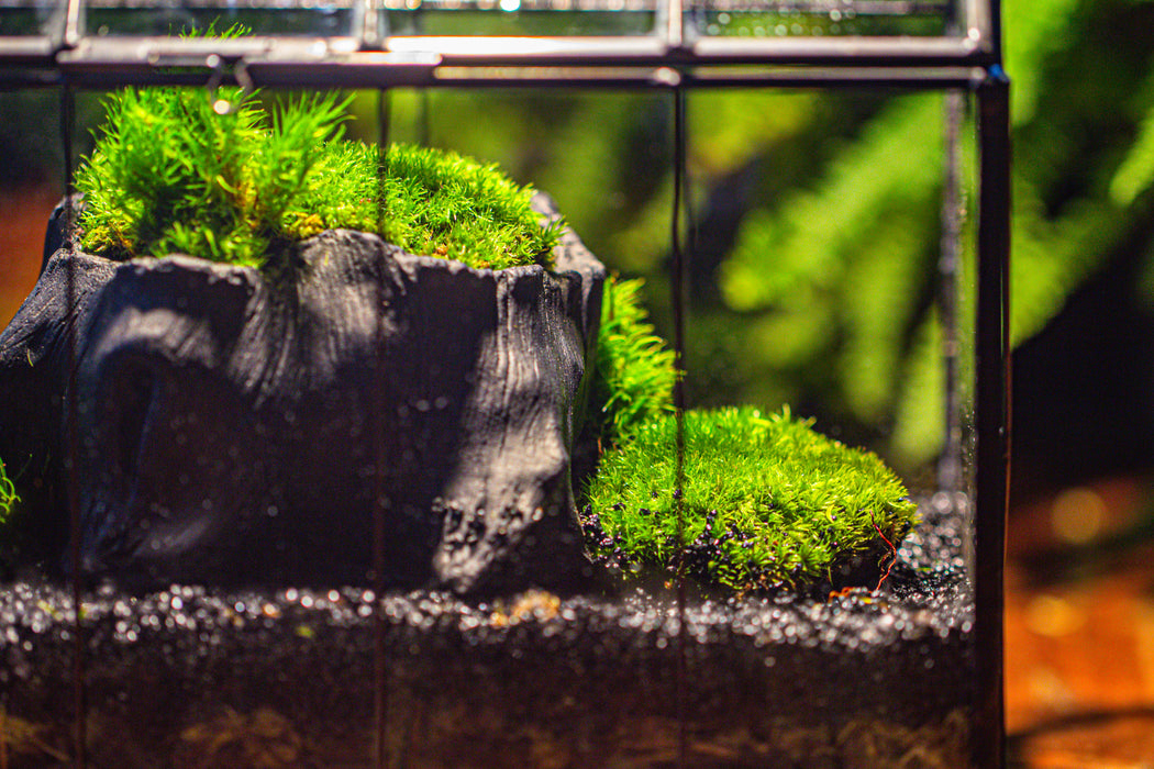 small black tree stump like planter, for terrarium, microlandscape - NCYPgarden