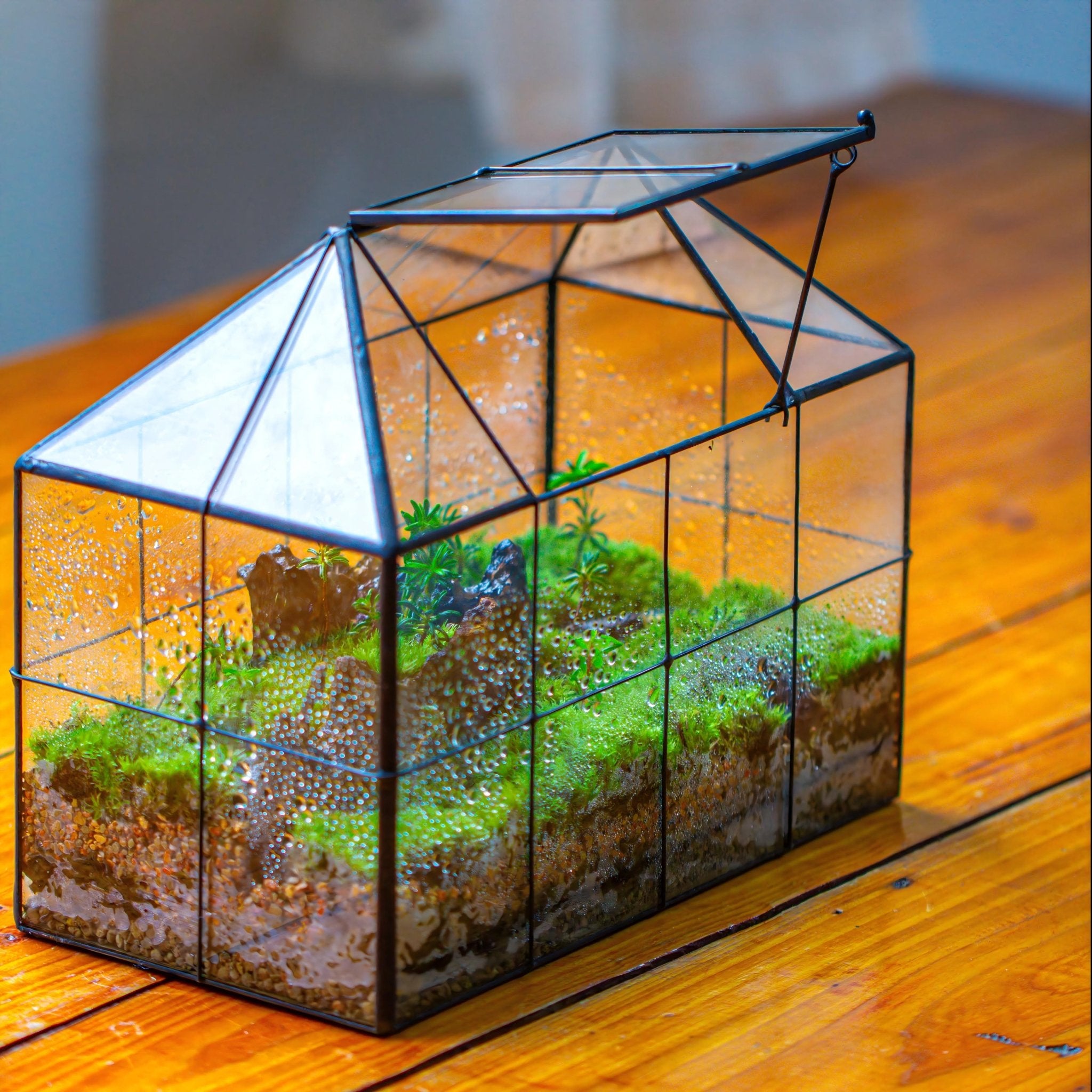 house plants in glass containers NCYP Mini Glass Terrarium with Lid House Shape Closed Planter Pot for Small Cactus, Succulents Plant PH01F2
