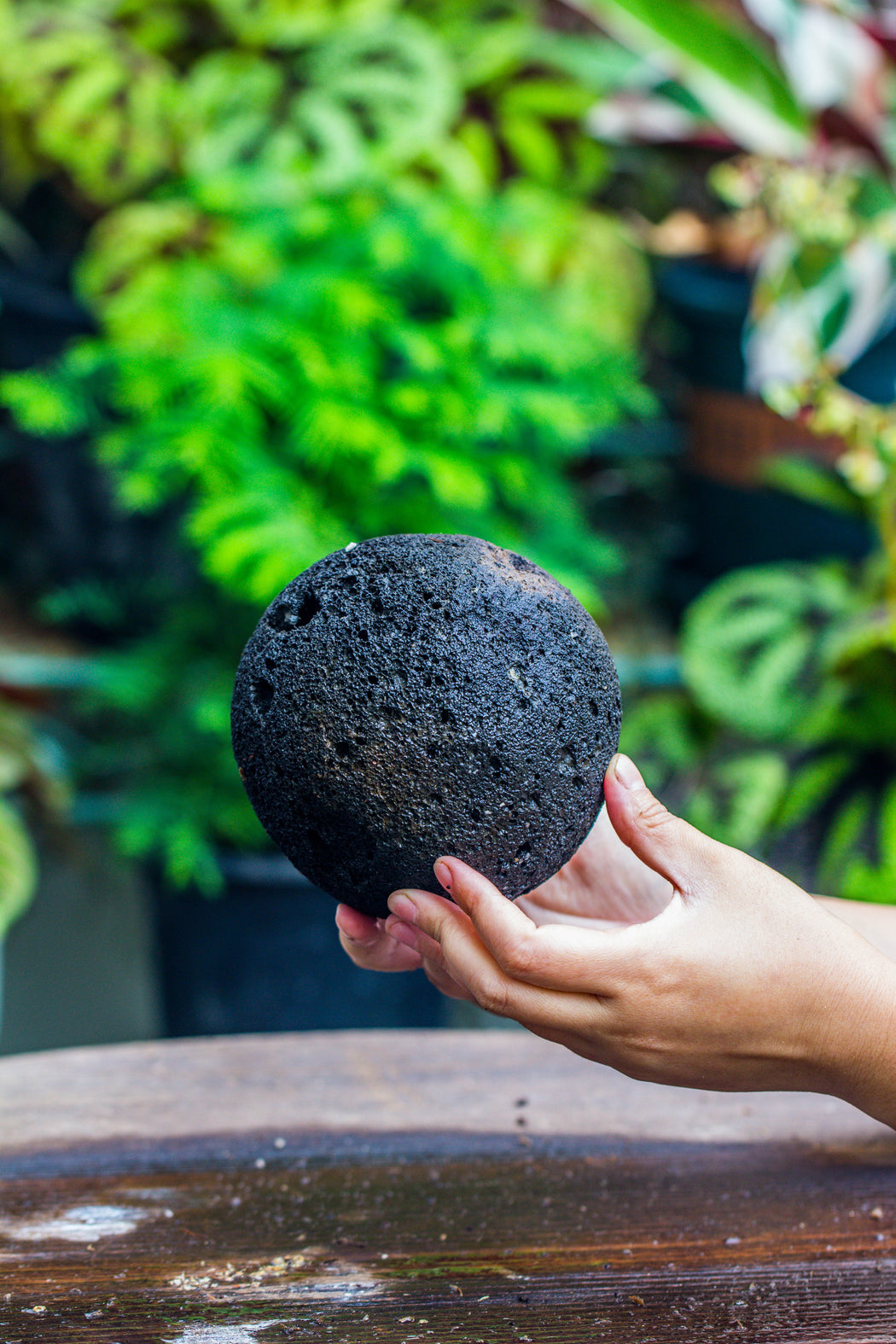 12cm / 4.7" Round Red Horticultural Lava Rock Volcanic Rock Planter for succulents, moss, tropical palants, terrariums - NCYPgarden
