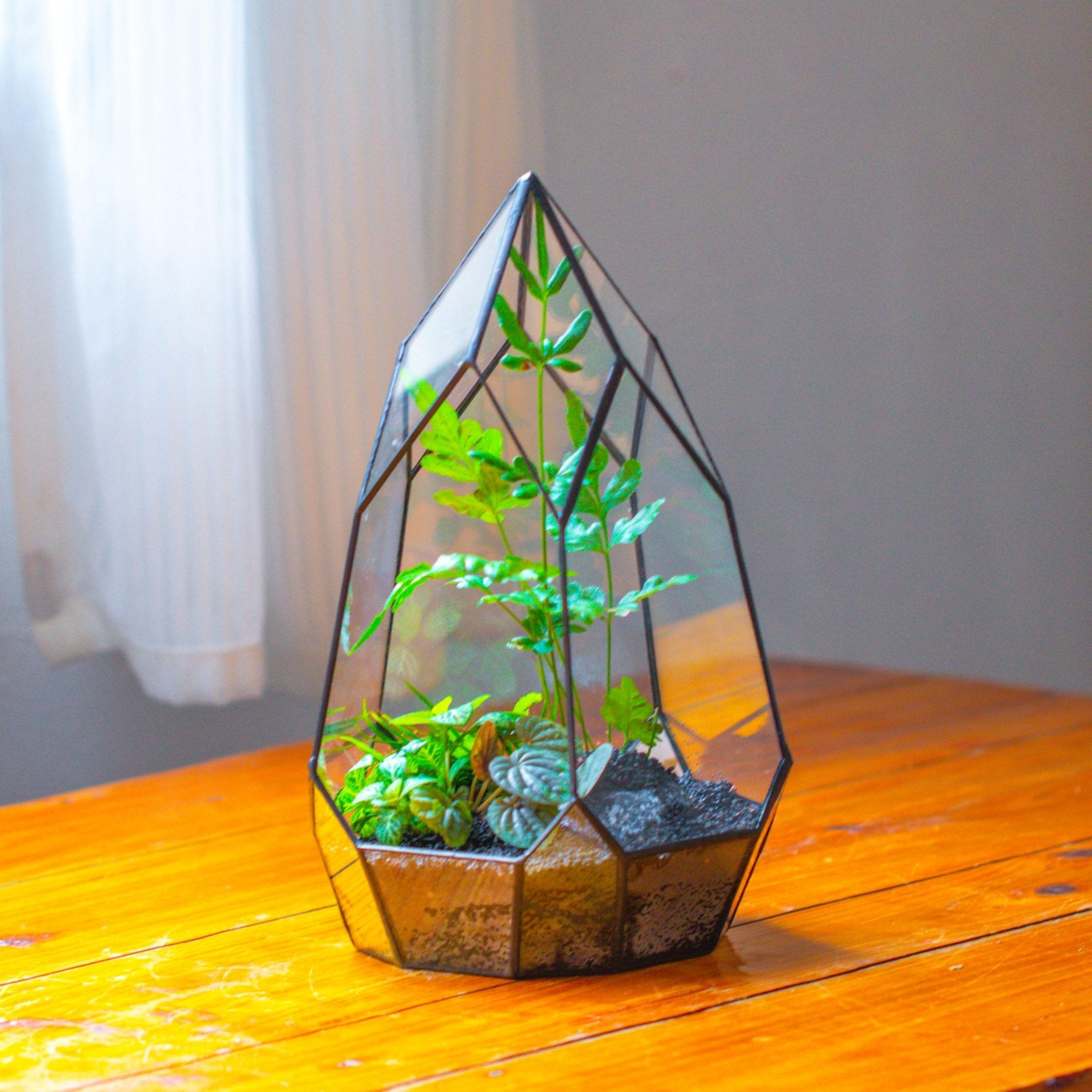 geometric planter pot NCYP Irregular Open Geometric Glass Terrarium for Succulents Planter Pot Dessert Landscape Bonsai