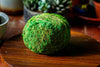 Preserved Hypnum plumaeforme Wils. Moss Ball, Kokedama planter - NCYPgarden