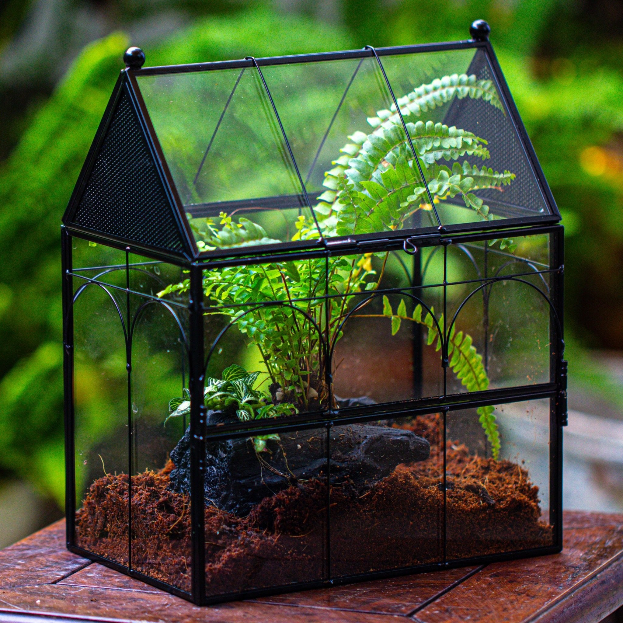 vintage plant terrarium NCYP Vintage House Shape Glass Geometric Terrarium, with side door, wi