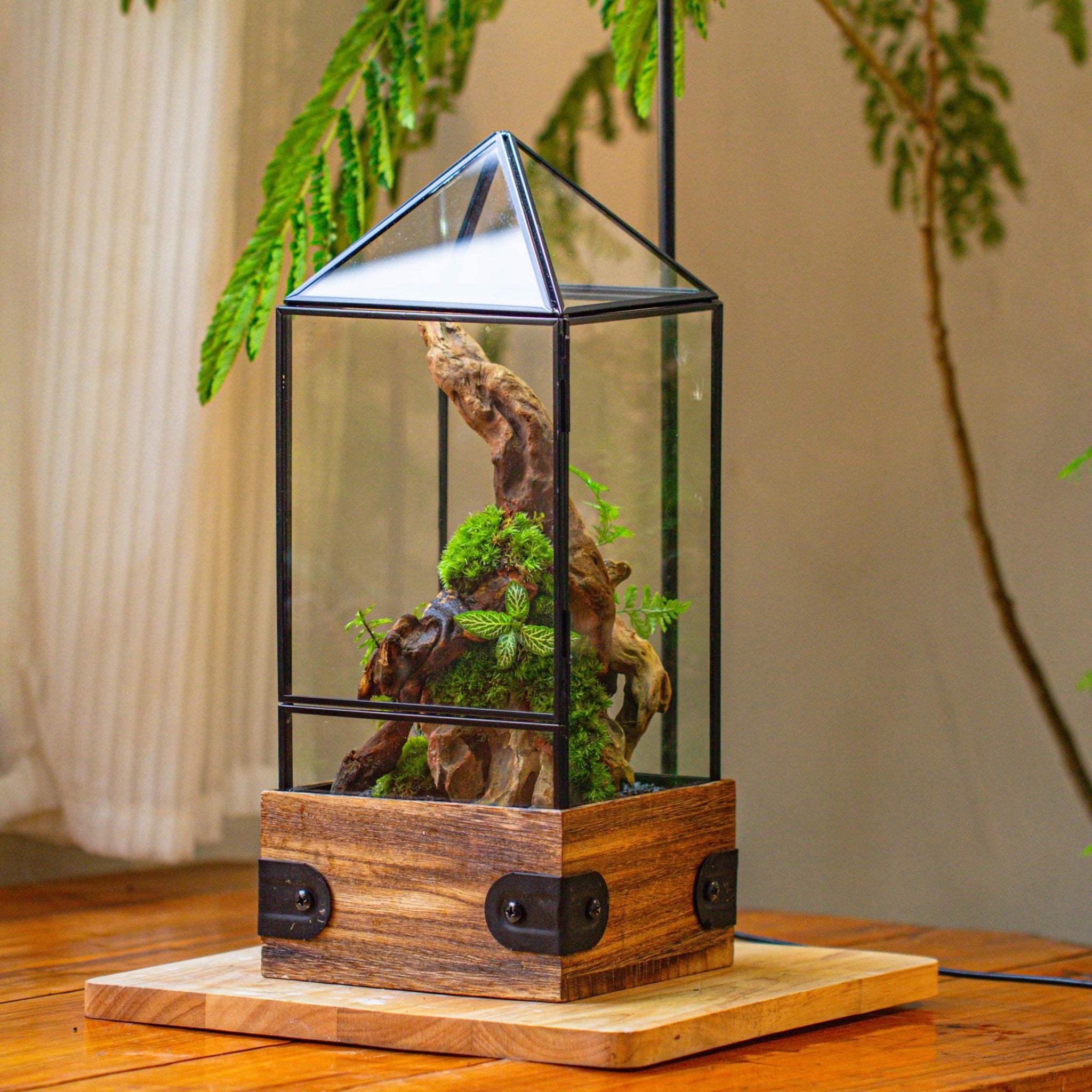 plant terrarium gift Handmade Glass Terrarium with Wood Base, Pyramid Shape Planter with Do