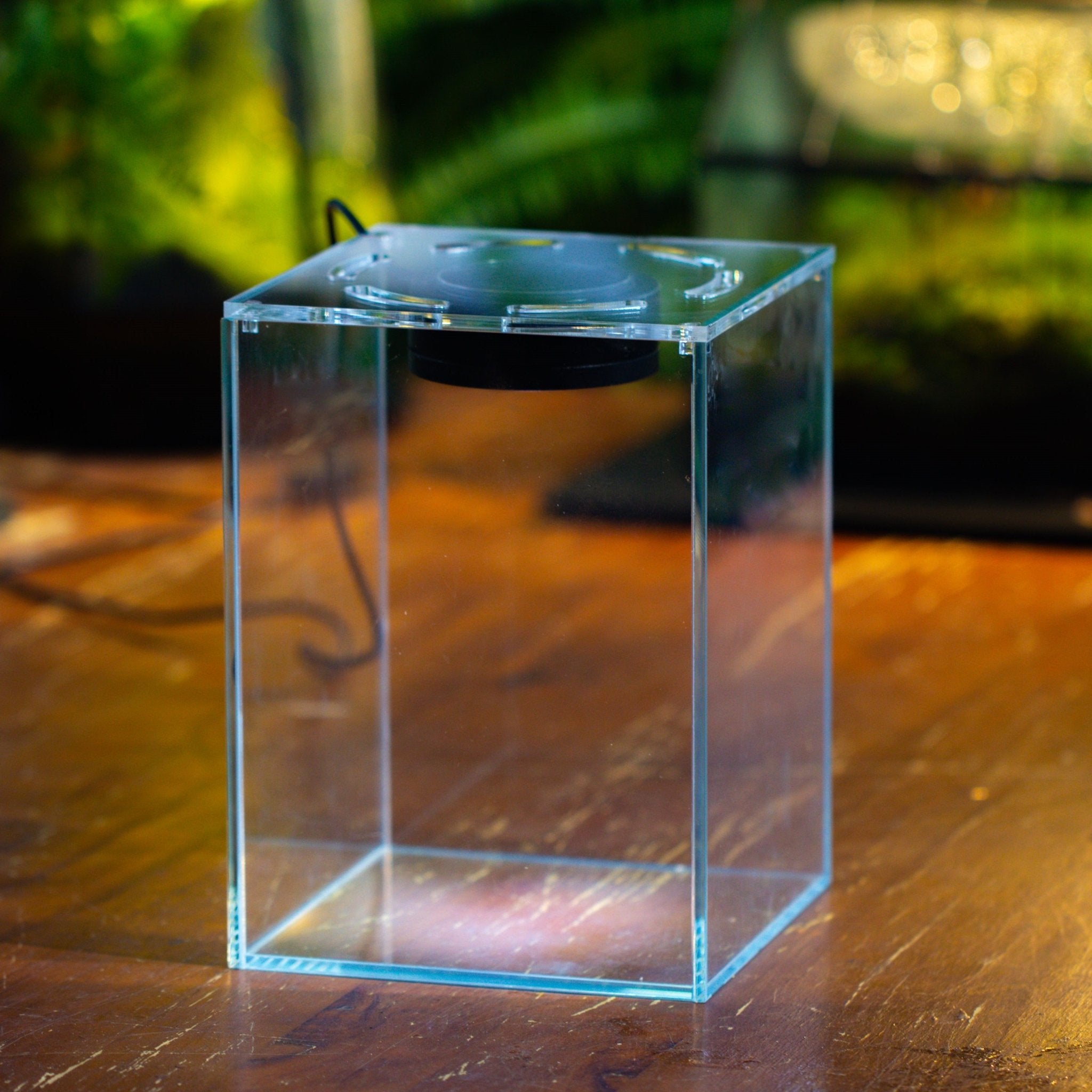 plant terrarium kit with light Watertight Glass Tank , Acrylic Lid, Terrarium Kit for Tropical Plants – NCYPgarden