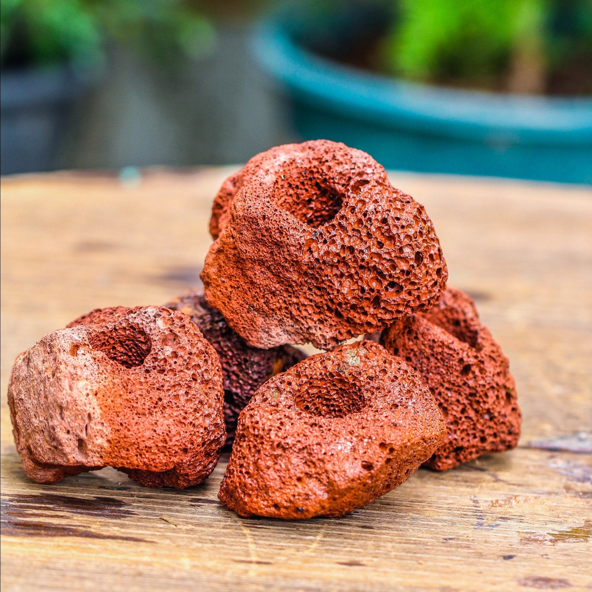 plant terrarium rocks Red Drilled Horticultural Lava Rock for Terrarium