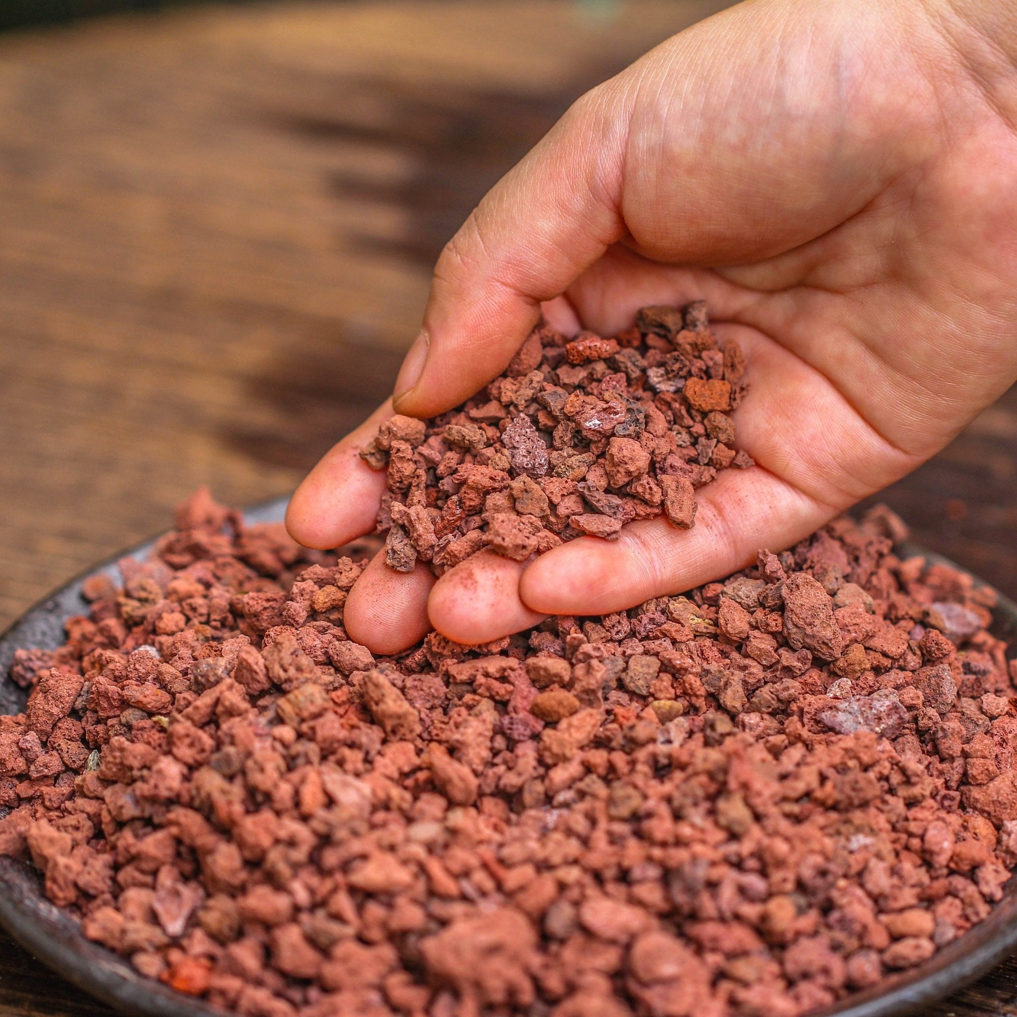 bonsai soil for succulents Black Horticultural Lava Rock Soil for Plants & Bonsai