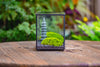 Preserved moss terrarium Miniature DIY set, Japanese Zen Style, Preserved Leucobryum moss and pagoda, 17*10*12cm / 6.7 x 3.9 x 4.7" - NCYPgarden