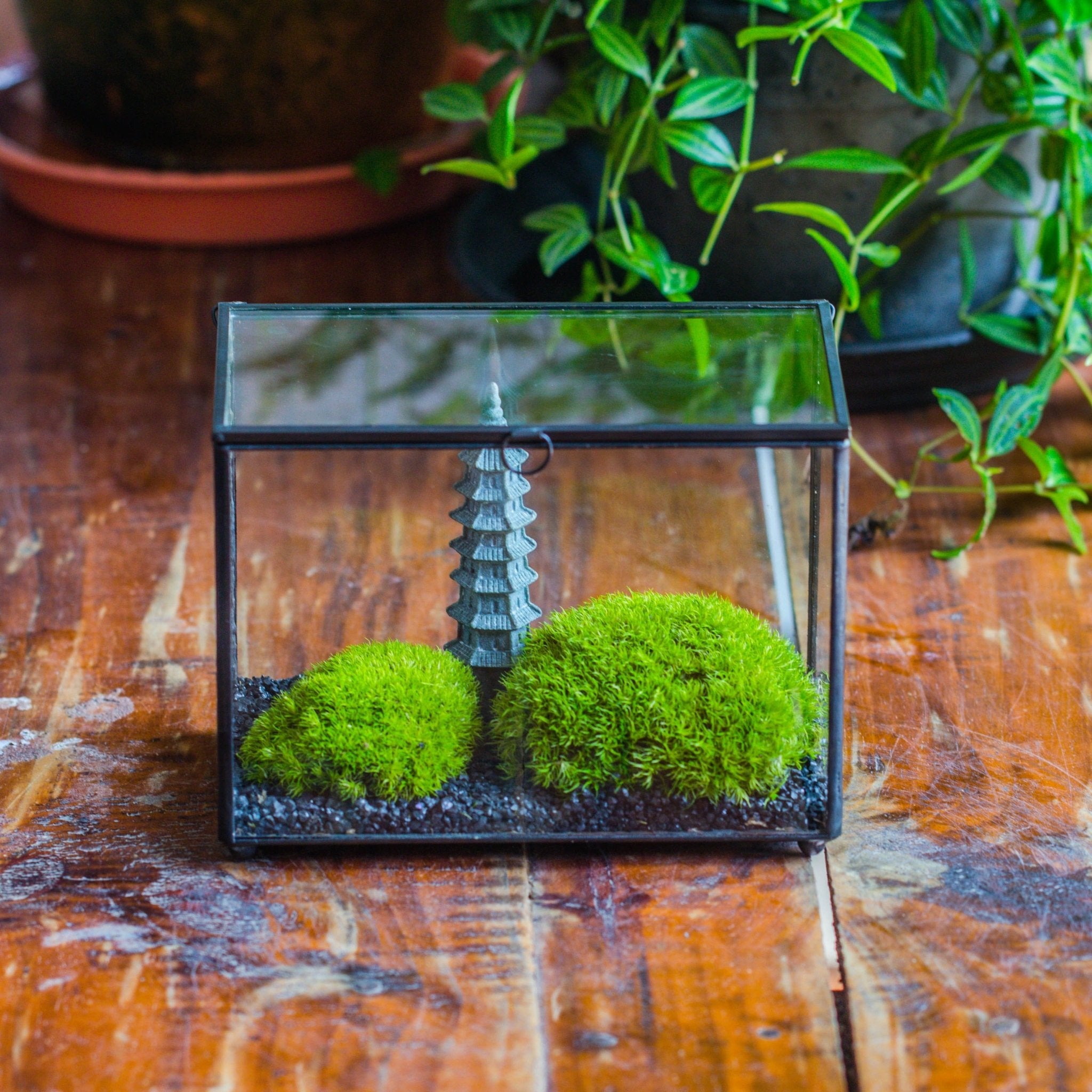 japanese terrarium plants Preserved moss terrarium Miniature DIY set, Japanese Zen Style, Preser