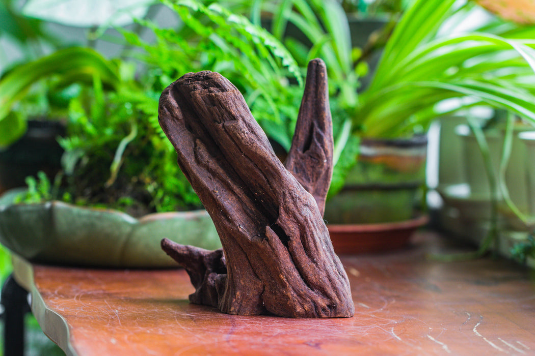 Natural driftwood for moss terrarium, miniature, micro landscape, unique  10-3, for  terrariums live and preserved moss - NCYPgarden