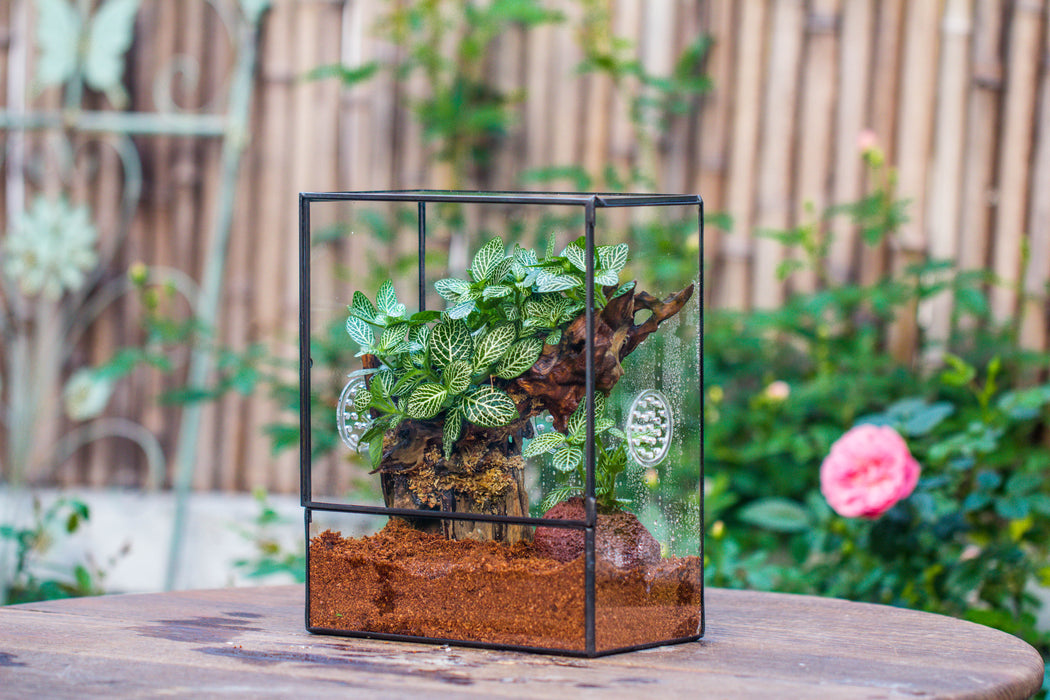 Close Geometric Glass Tin Terrarium with 3 Vents , 8x10" with side door, for insects, snail , spider, micro landscape  -with white light set - NCYPgarden