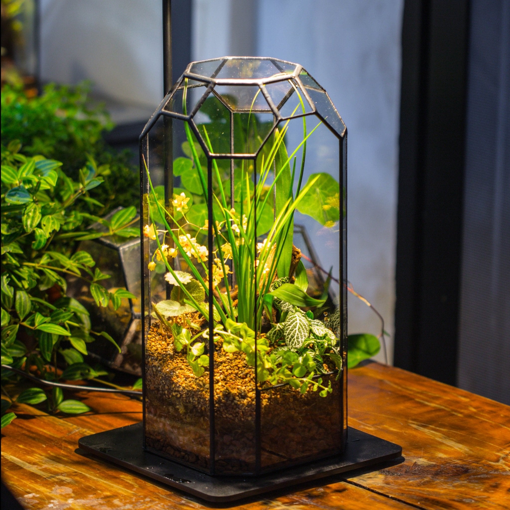 tall plant terrarium Vintage Tall Octagon Geometric Tin Glass Terrarium , 12.6" , open, sui – NCYPgarden