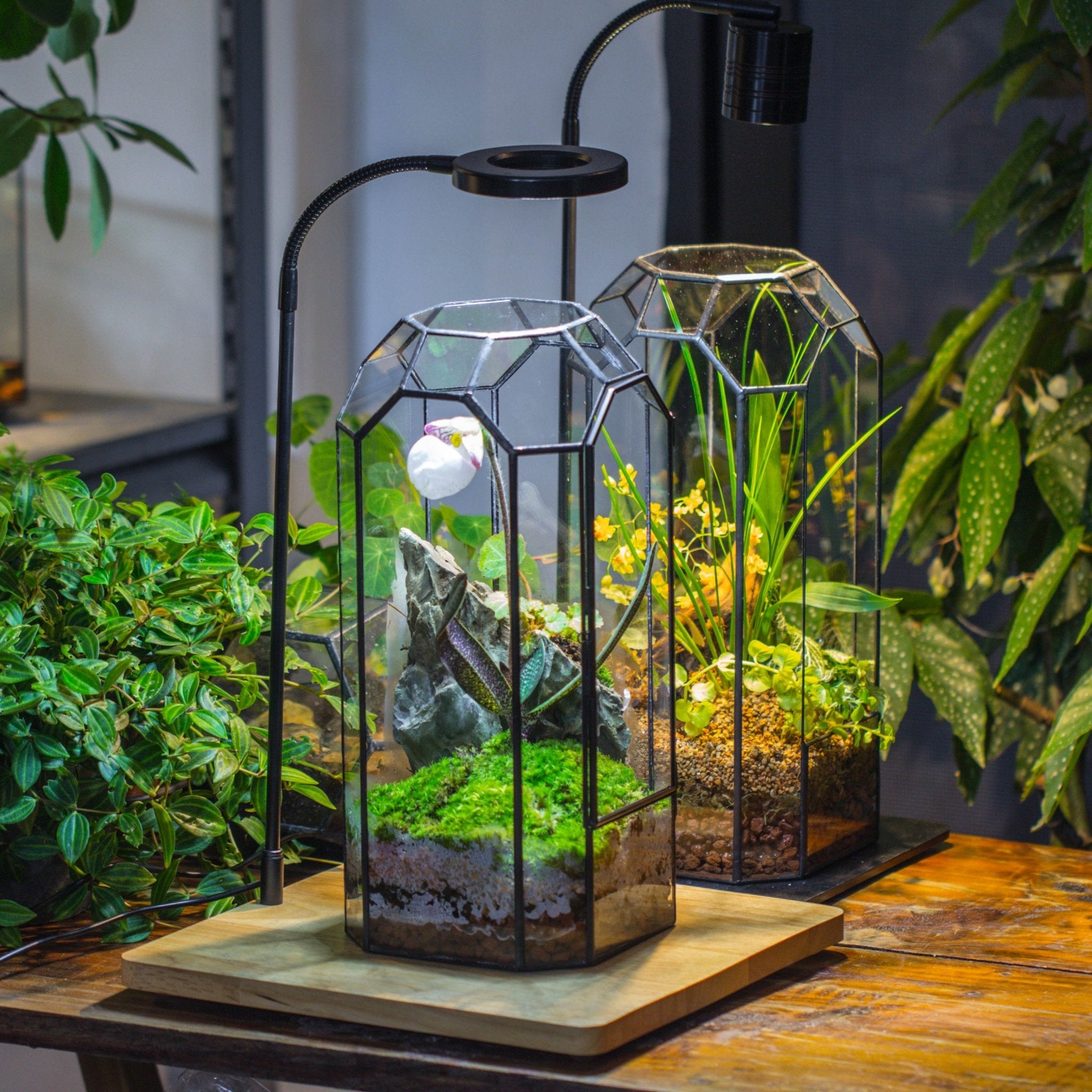 tall plant terrarium Vintage Tall Octagon Geometric Tin Glass Terrarium , 12.6" , close, su