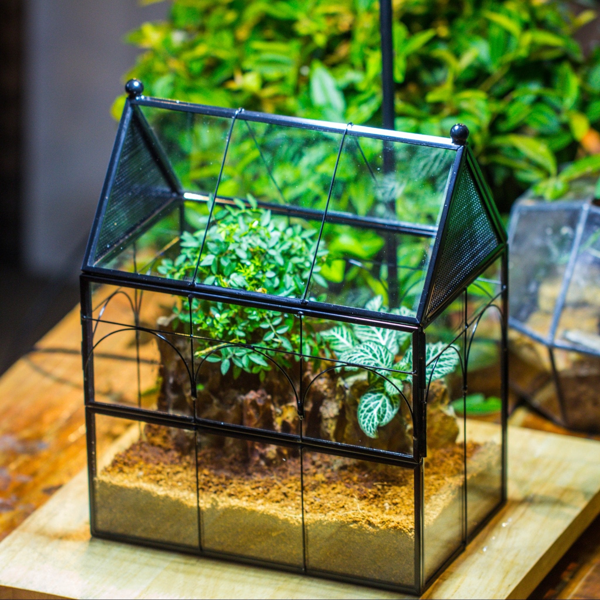 terrarium with plants included Order Handmade Terrarium with Light