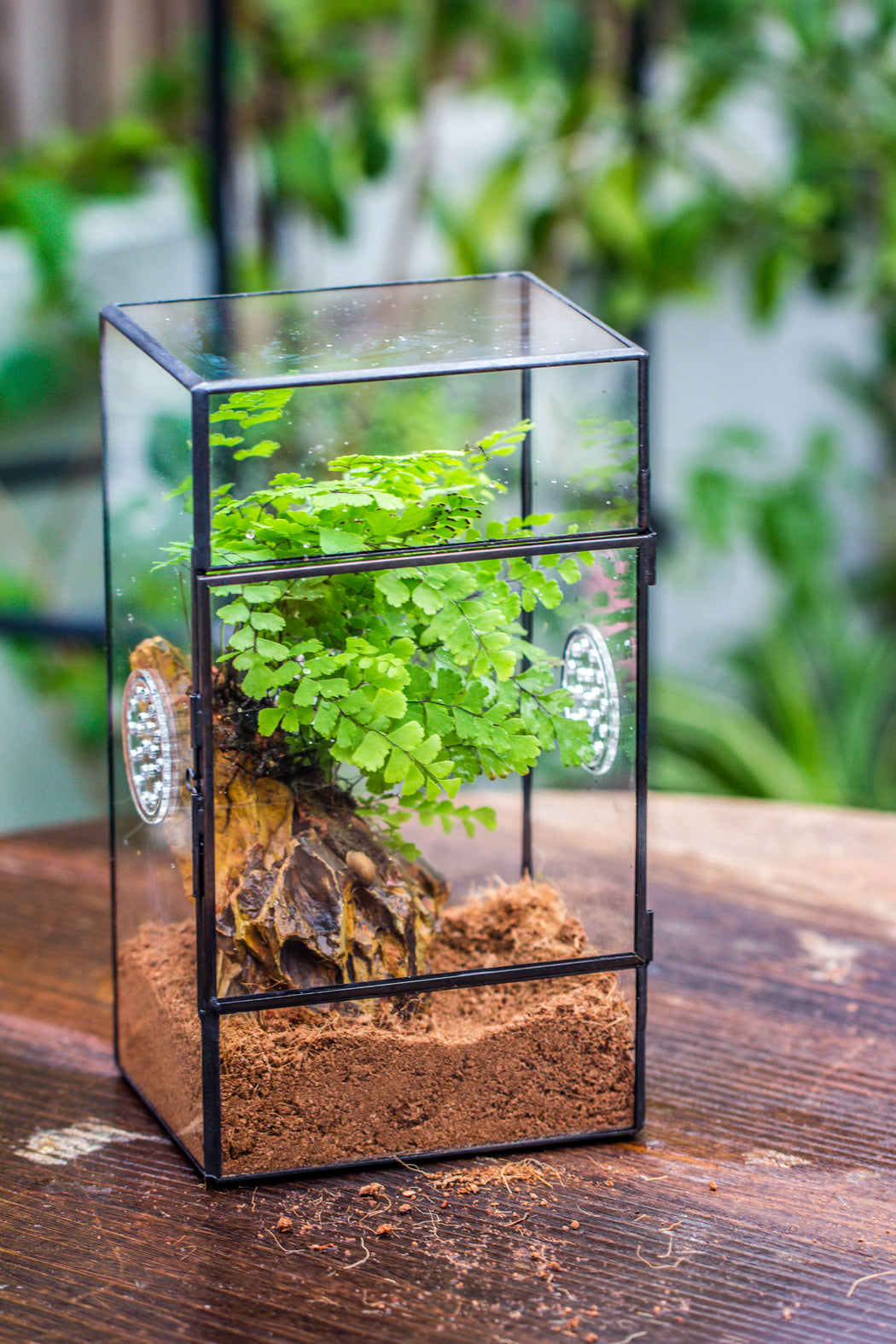 NCYP Rectangle Tin and Glass Geometric Terrarium,  with side door,  with Mesh  / vent holes for small Insects Pet - NCYPgarden