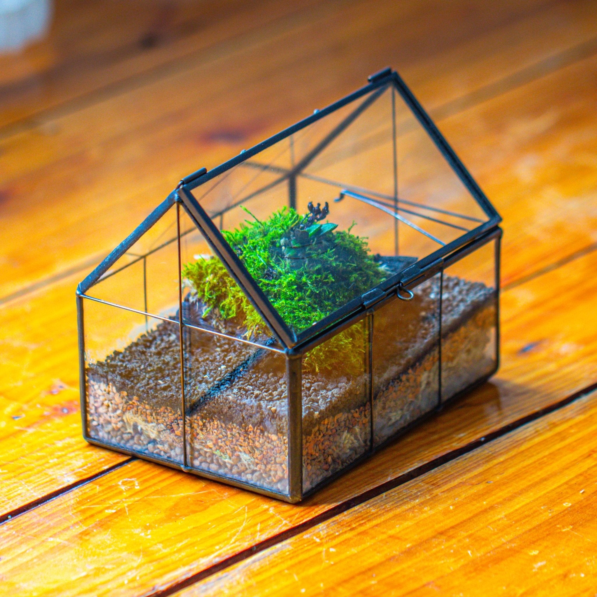 glass indoor plant pots NCYP Mini Glass Terrarium with Lid House Shape Closed Planter Pot for Small Cactus, Succulents Plant PH01F2