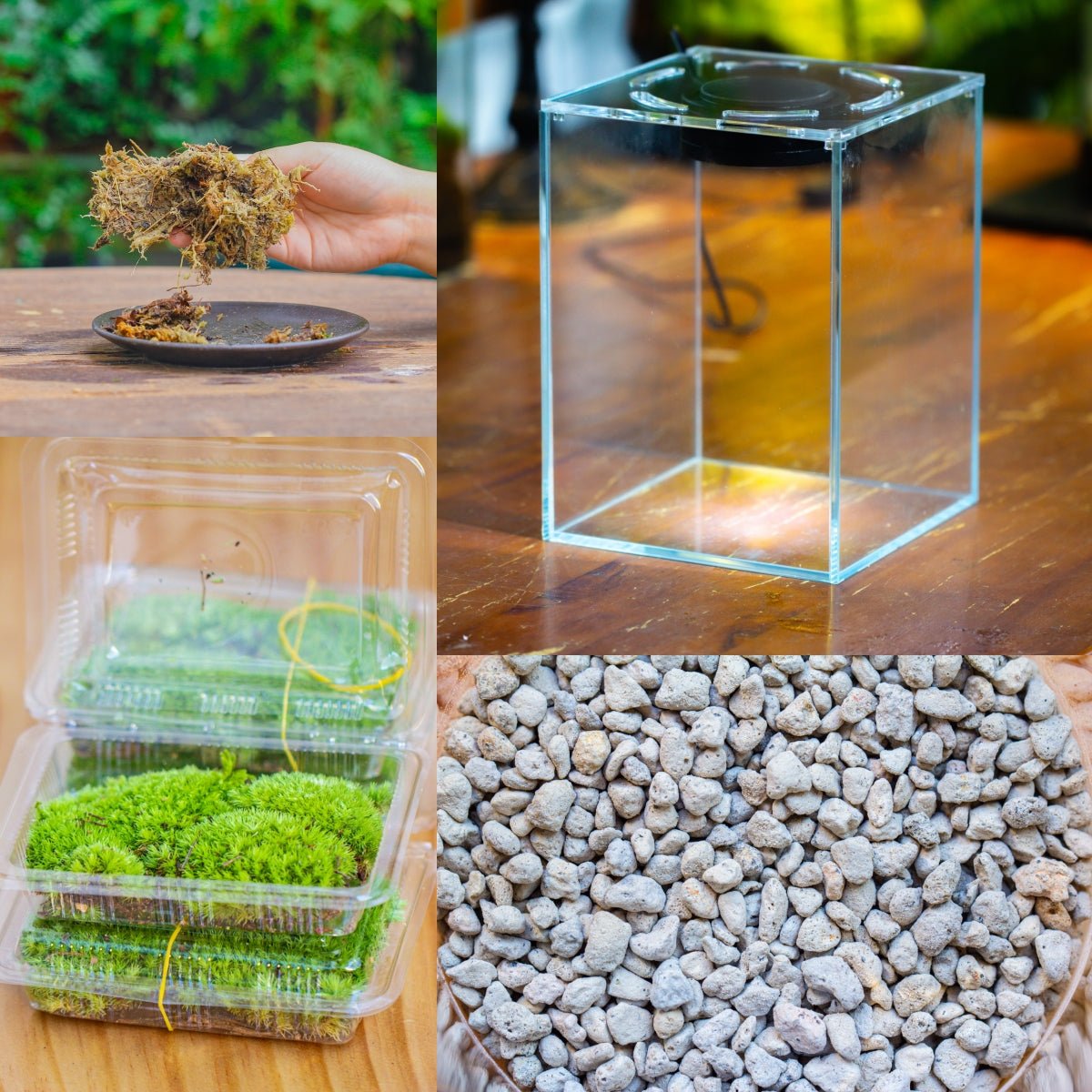 diy fish tank grow box Watertight Glass Tank with LED Grow Light, Acrylic Lid, DIY Terrarium