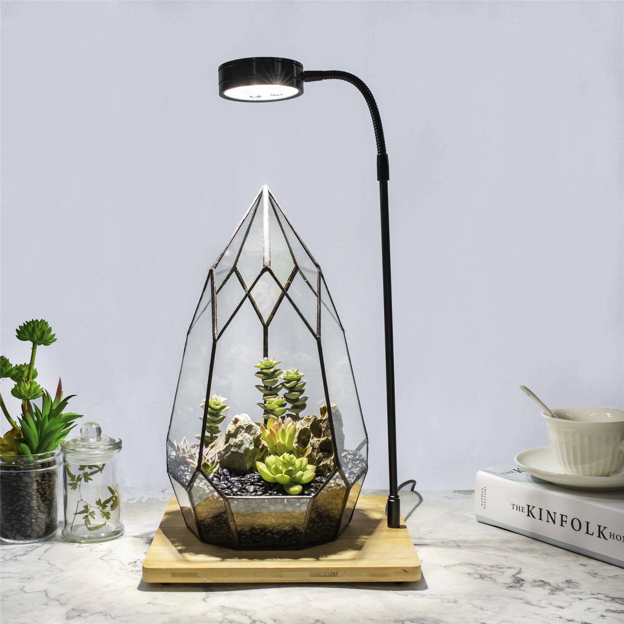 grow lights for indoor succulents Tabletop LED Succulents Grow Light Display