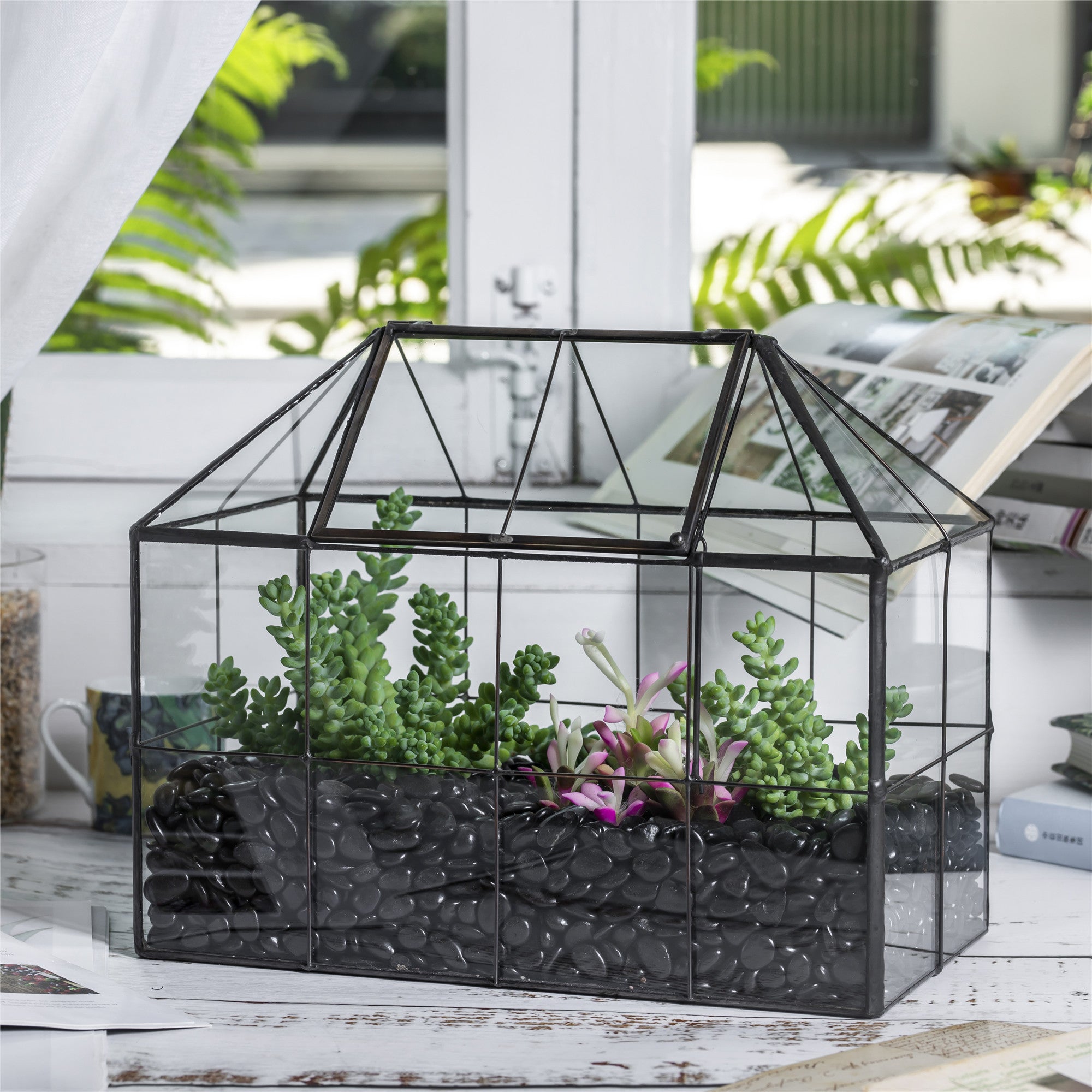 terrarium with plants for sale reserved custom made for Don order Glass Geometric Terrarium – NCYPgarden