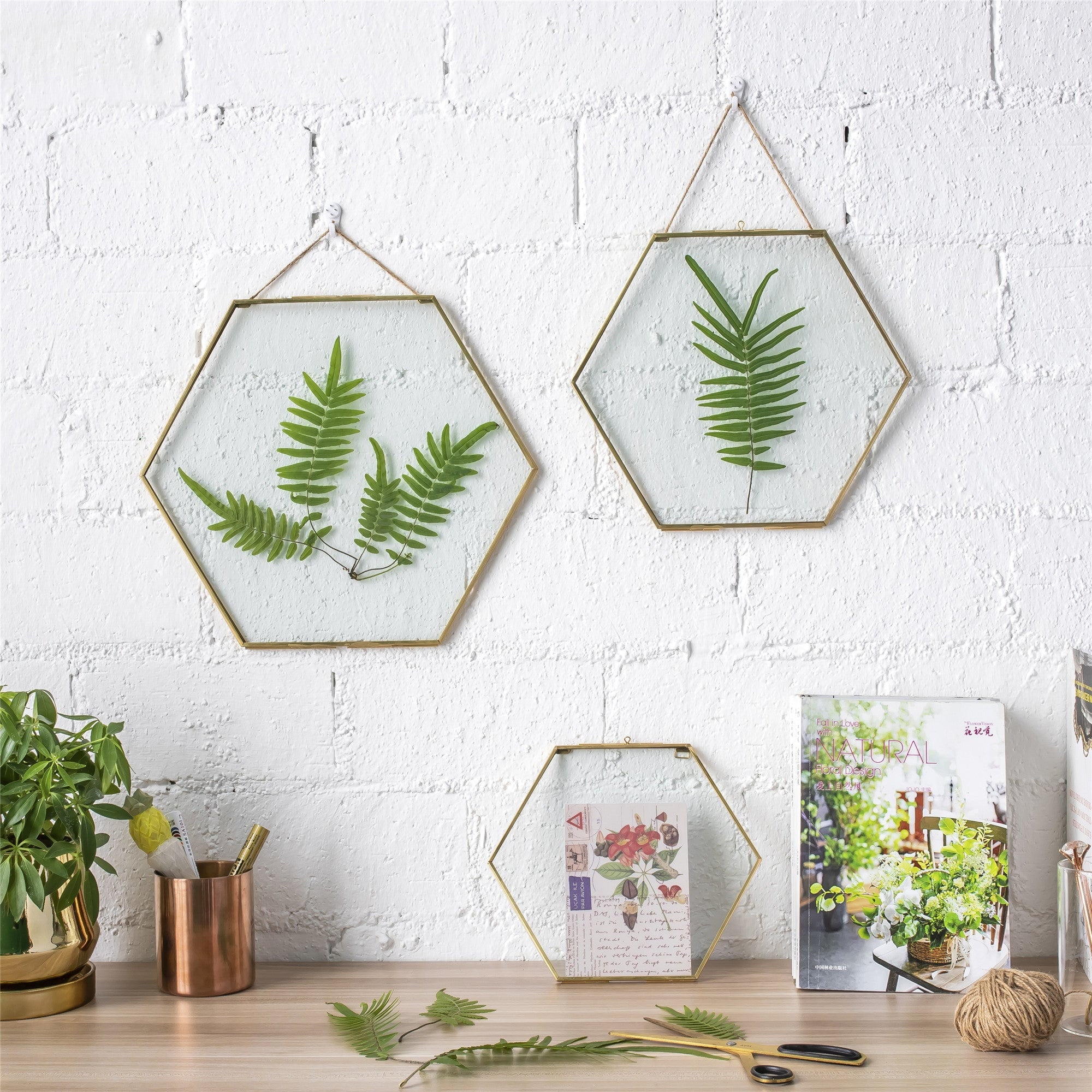 dried hanging plants Buy Hanging Hexagon Herbarium Brass Glass Frame – NCYPgarden