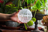 Environment Friendly Detachable Plastic Ball for easy moss ball, hanging planters, wall mounted planting idea, suitable for orchid, Staghorn Fern  10 sets - NCYPgarden
