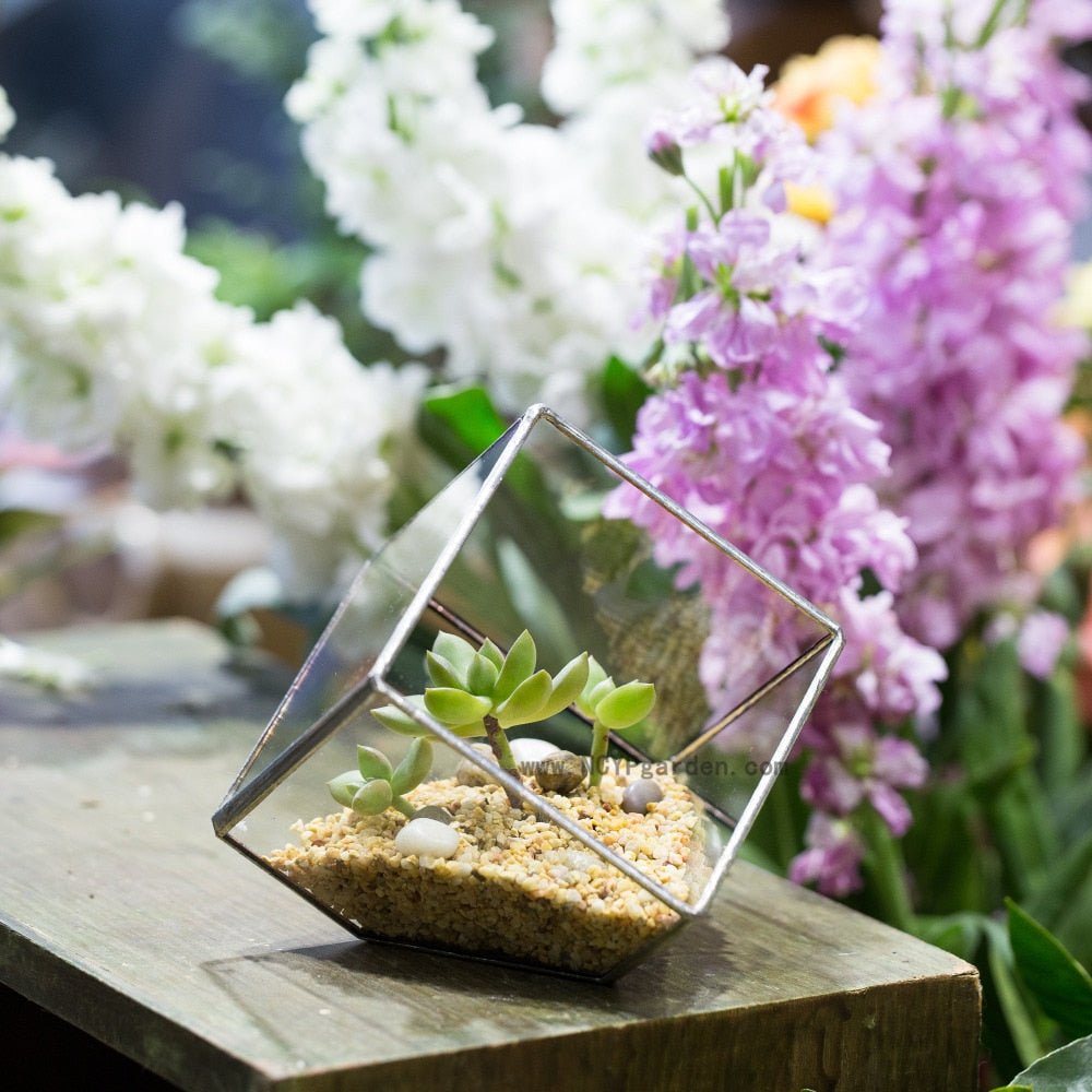 open terrarium succulents Handmade 3.93" / 10cm Silver Square Inclined Open Cube Glass Geometric Terrarium Box for Succulents