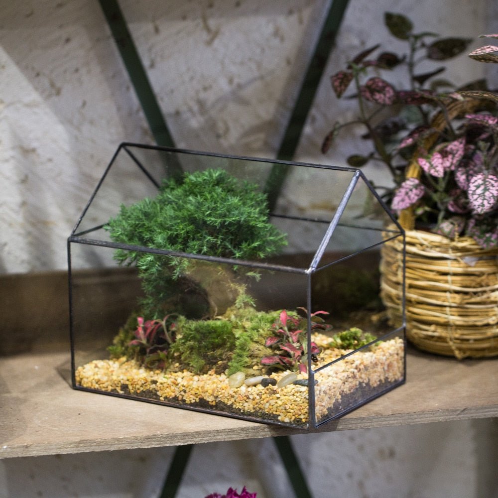 terrarium house plants Handmade House Shape Open on the Side Glass Geometric Terrarium for Fern Moss Succulents Airplants