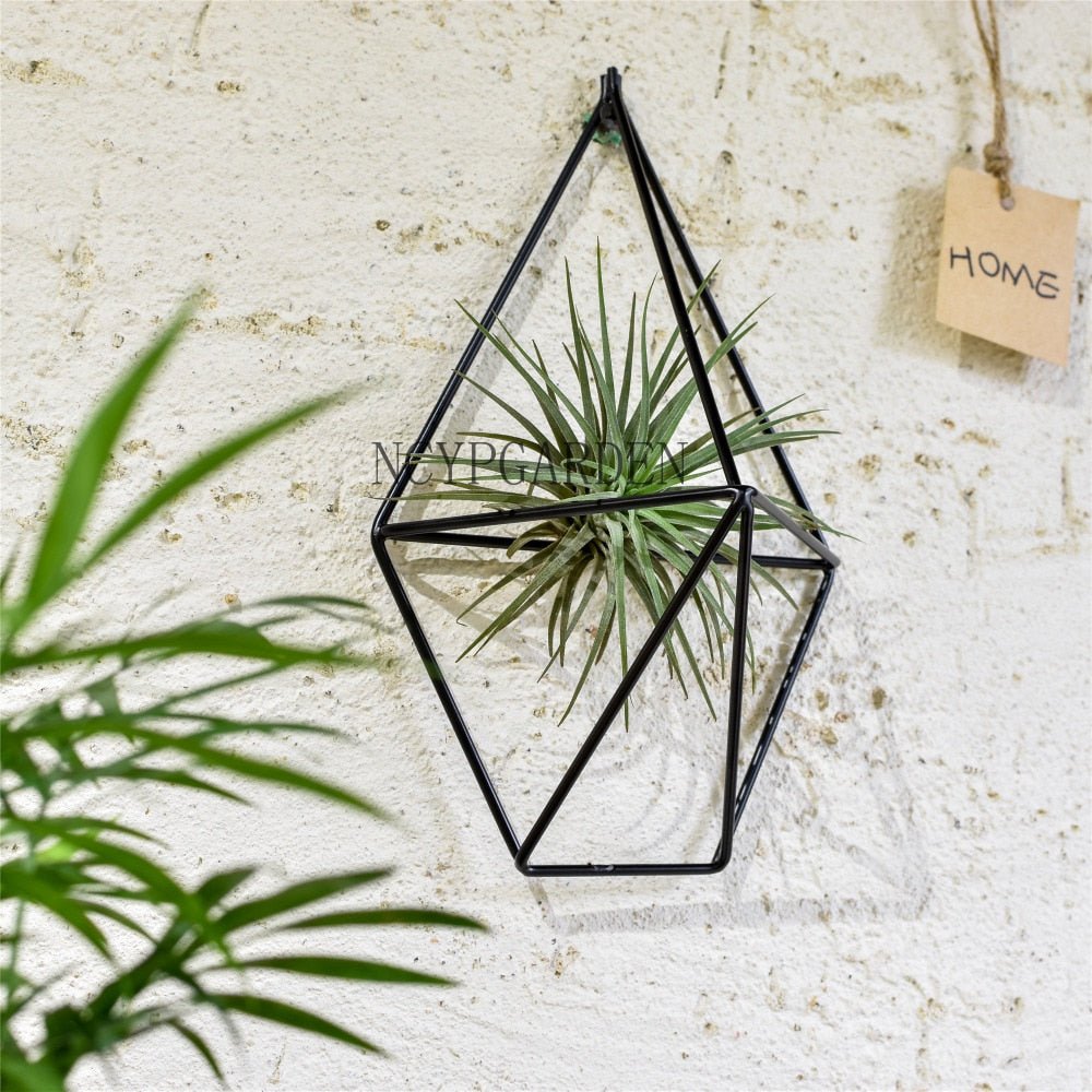 wall mounted air plant holder Rustic Wall Mount Hanging Geometric Metal Tillandsia Air Plants Holder