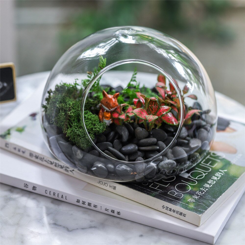plant globe terrarium Hand Blown Glass Bubble Shape Globe Terrarium for Miniature Micro Landscape Airplants Moss