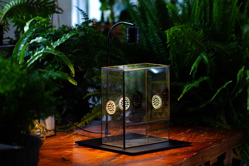 Handmade Close Glass Terrarium with Vents, with LED Grow Light Set, FOR insects, bugs - NCYPgarden