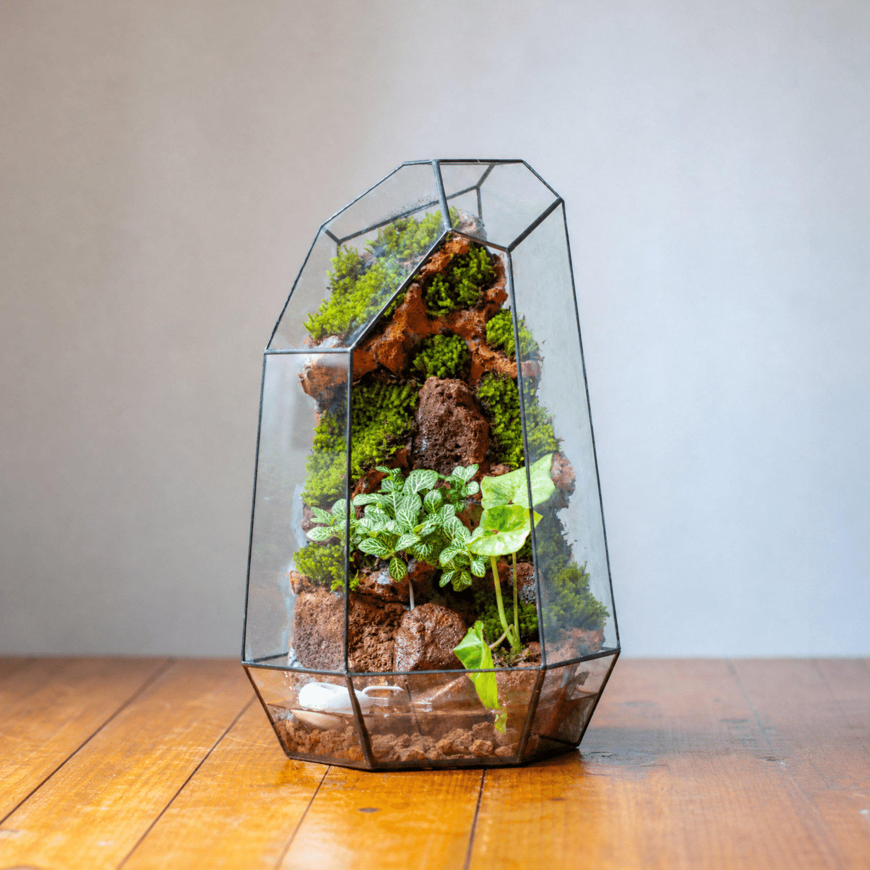 Handmade Extra Large Tall Irregular Glass Geometric Terrarium，Open, Waterproof, with Wire hole - NCYPgarden