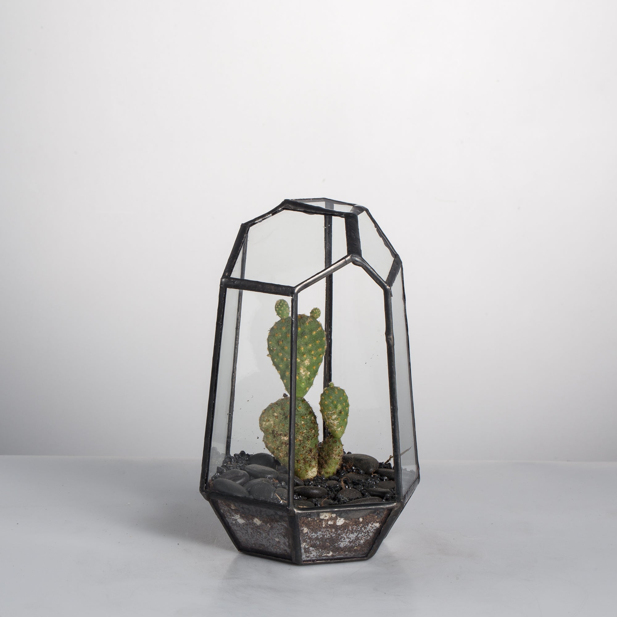 Handmade Irregular Tall Black Glass Geometric Terrarium for Succulents Moss Airplants - small PG01A1 - NCYPgarden