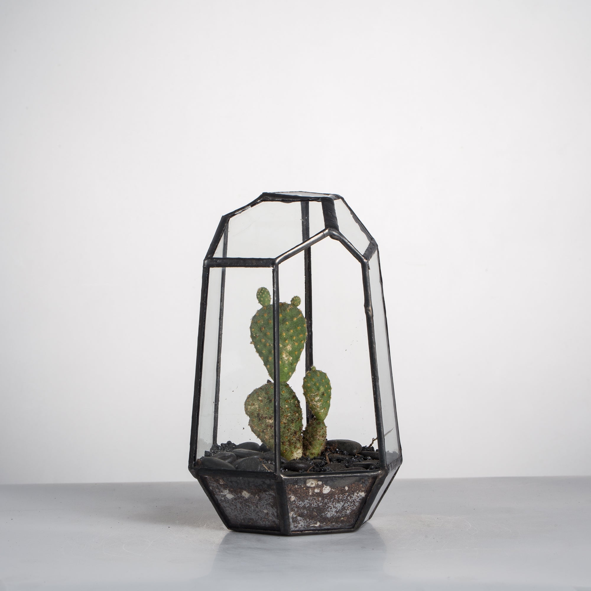 Handmade Irregular Tall Black Glass Geometric Terrarium for Succulents Moss Airplants - small PG01A1 - NCYPgarden