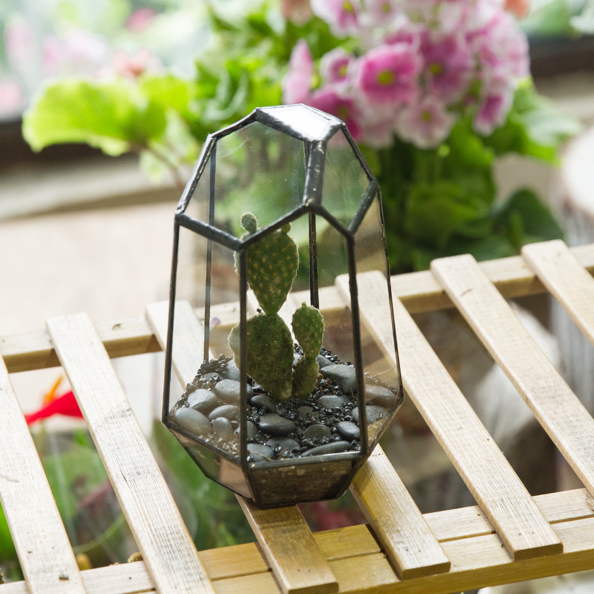 Handmade Irregular Tall Black Glass Geometric Terrarium for Succulents Moss Airplants - small PG01A1 - NCYPgarden