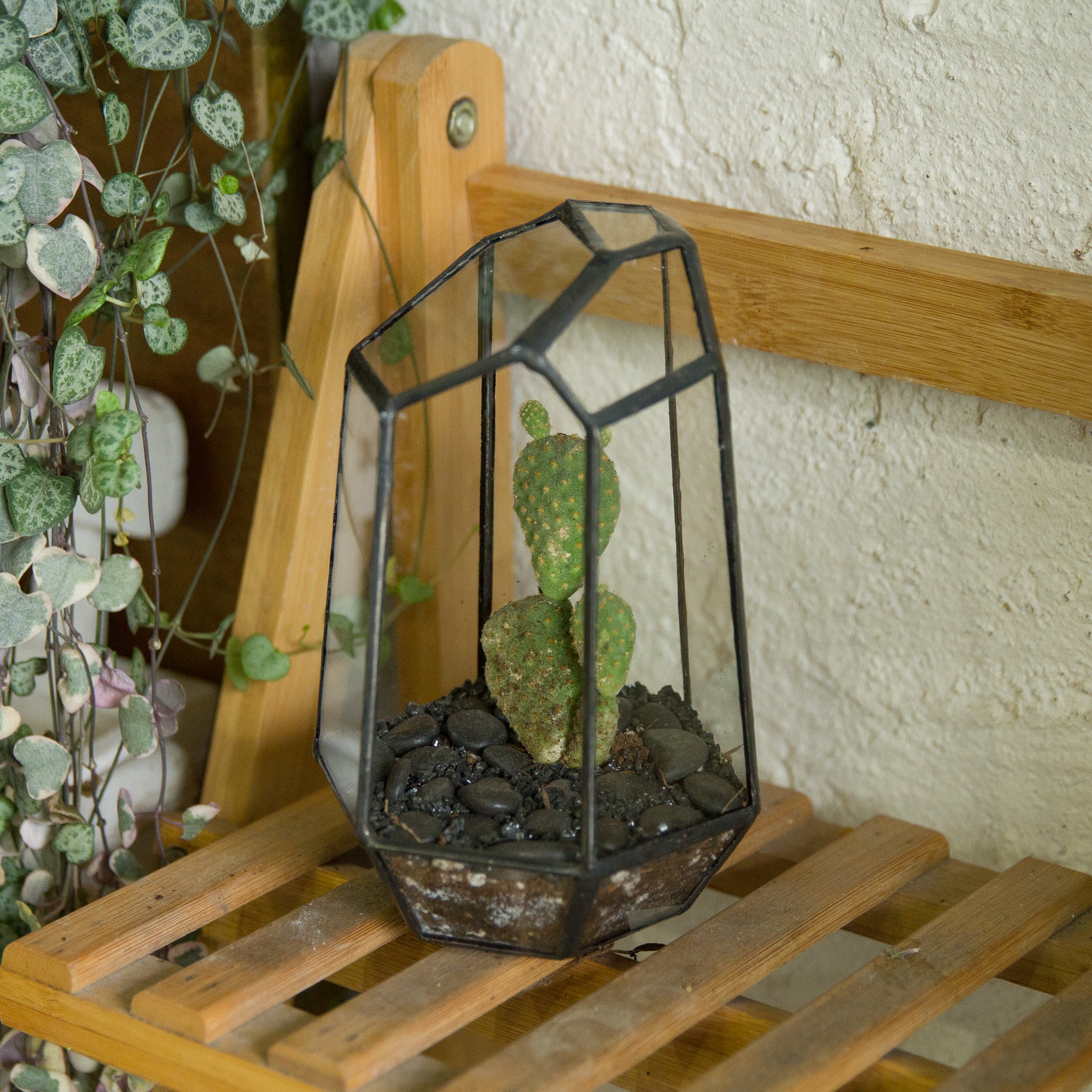 Handmade Irregular Tall Black Glass Geometric Terrarium for Succulents Moss Airplants - small PG01A1 - NCYPgarden