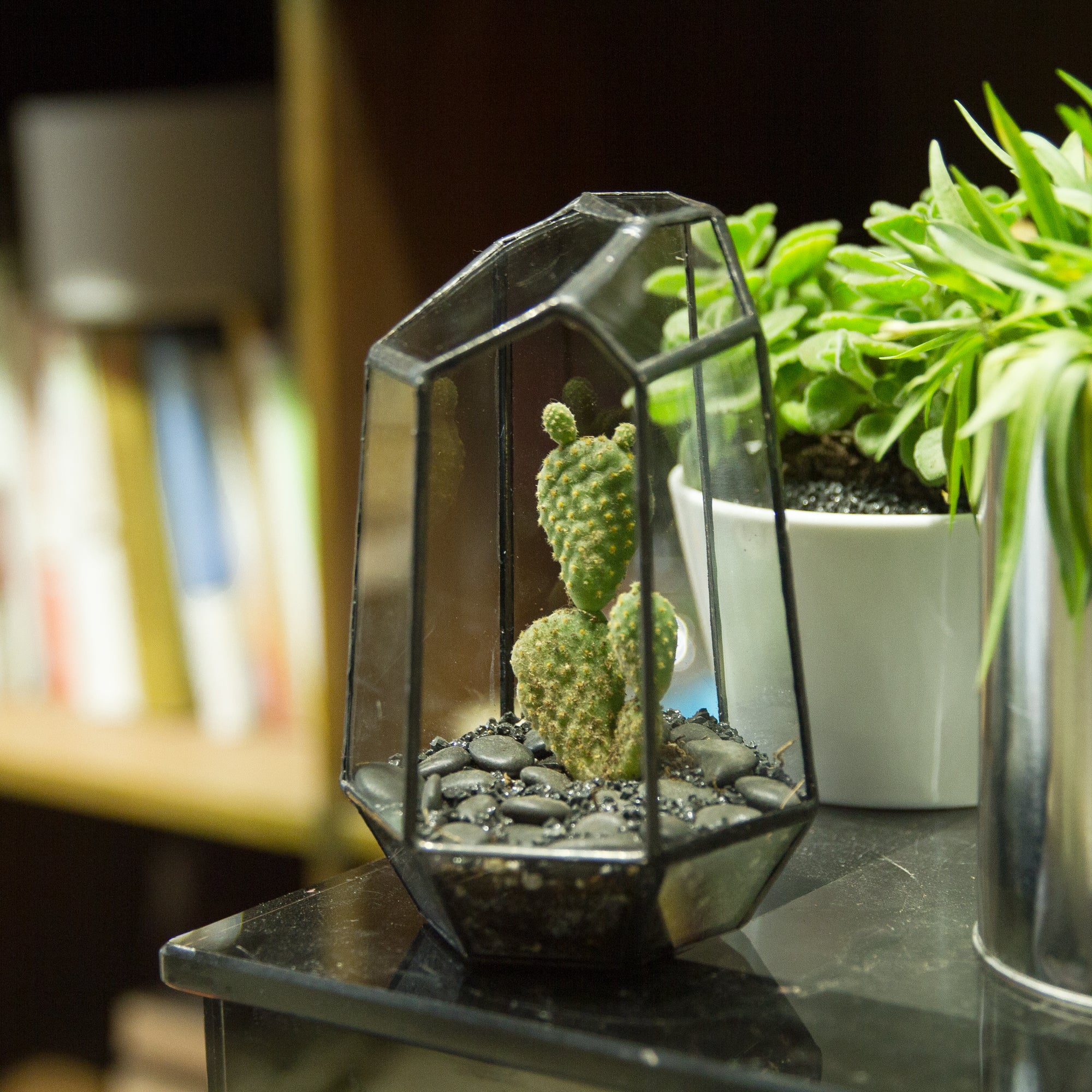 Handmade Irregular Tall Black Glass Geometric Terrarium for Succulents Moss Airplants - small PG01A1 - NCYPgarden