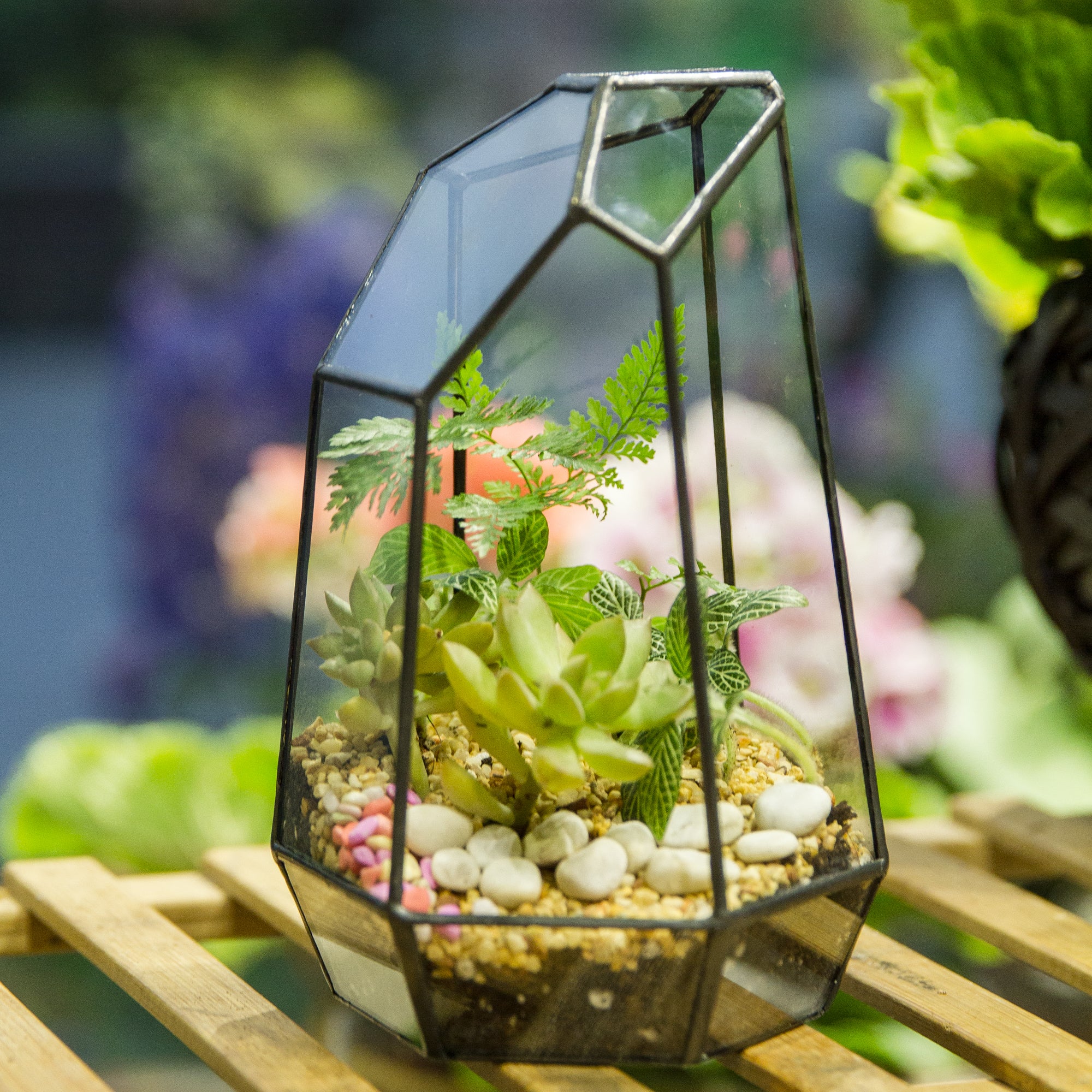 Handmade Irregular Tall Black Glass Geometric Terrarium for Succulents Moss Airplants - Medium PG01A2 - NCYPgarden