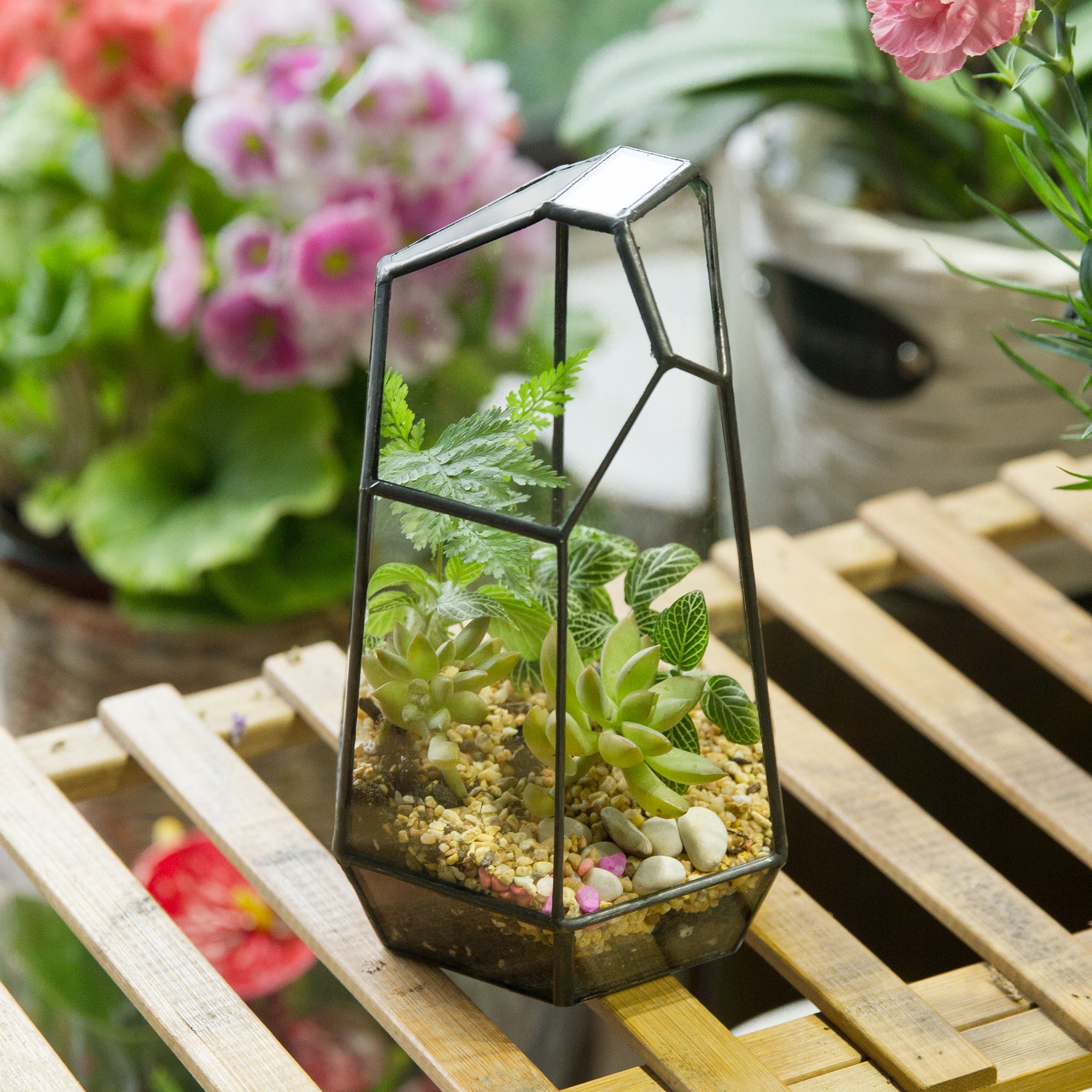 Handmade Irregular Tall Black Glass Geometric Terrarium for Succulents Moss Airplants - Medium PG01A2 - NCYPgarden