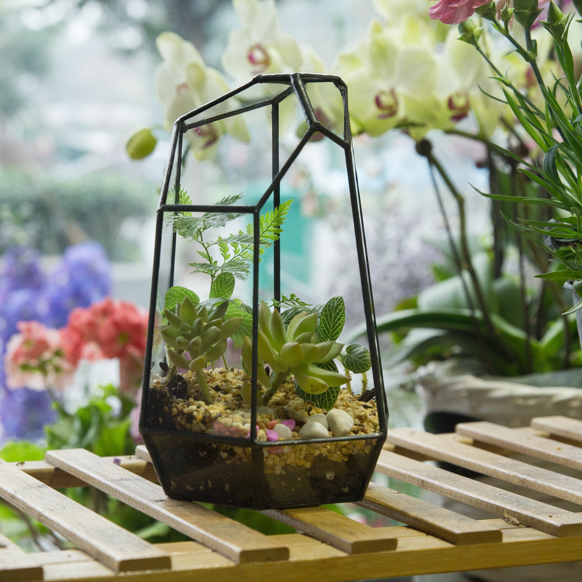 Handmade Irregular Tall Black Glass Geometric Terrarium for Succulents Moss Airplants - Medium PG01A2 - NCYPgarden