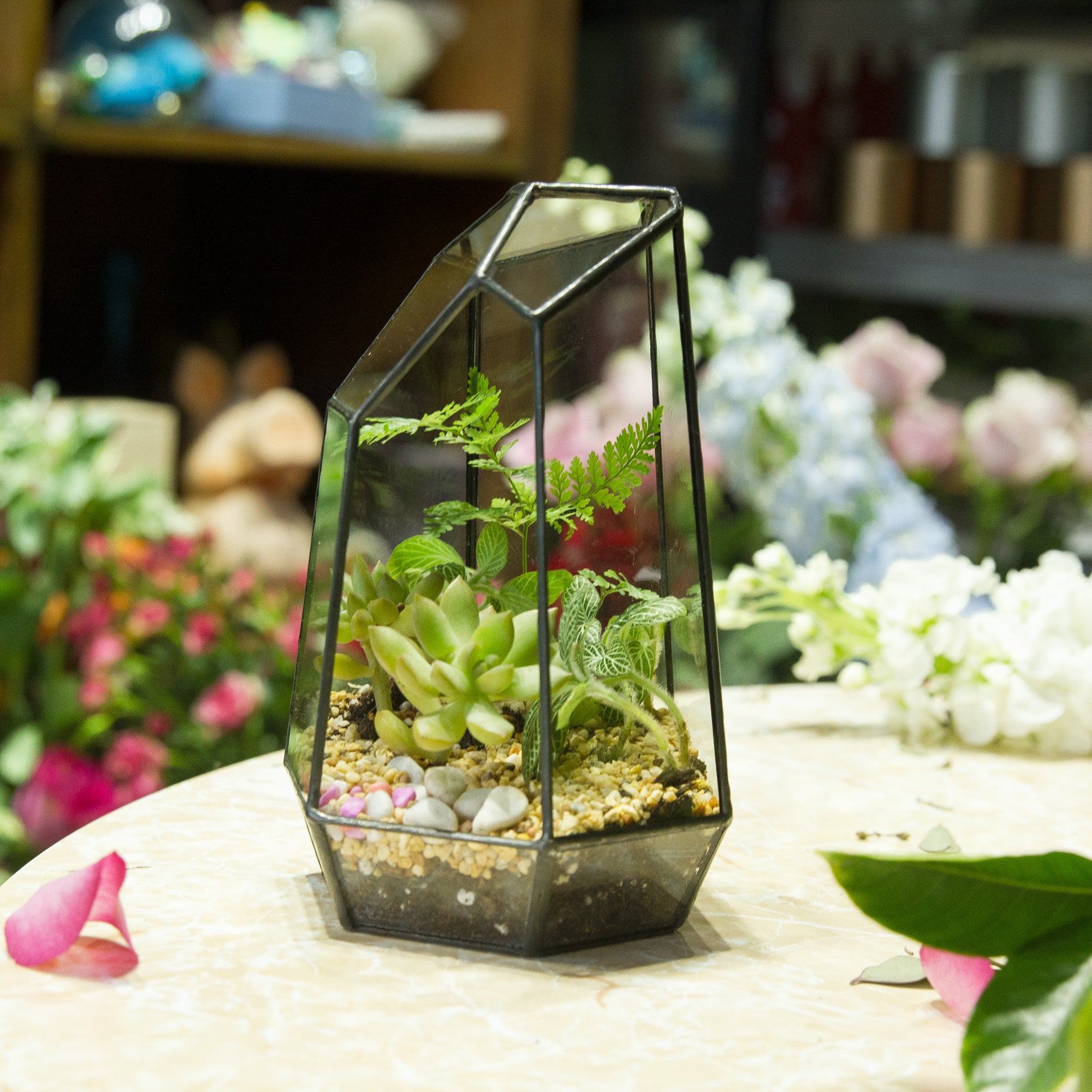 Handmade Irregular Tall Black Glass Geometric Terrarium for Succulents Moss Airplants - Medium PG01A2 - NCYPgarden