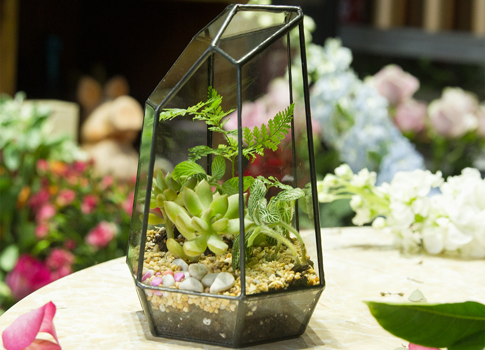 Handmade Irregular Tall Black Glass Geometric Terrarium for Succulents Moss Airplants - Medium PG01A2 - NCYPgarden