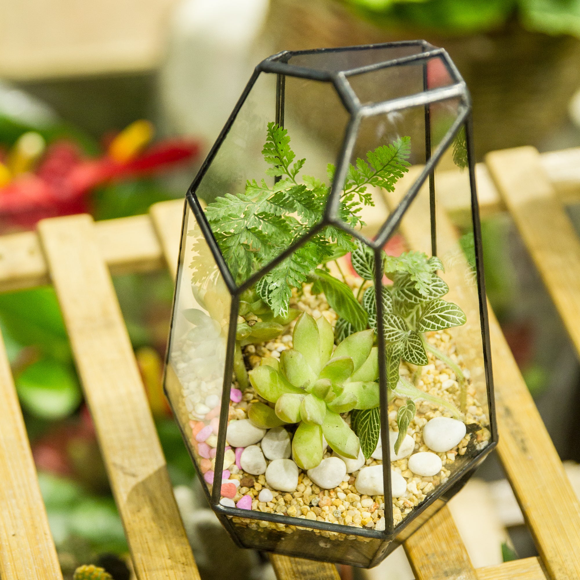 Handmade Irregular Tall Black Glass Geometric Terrarium for Succulents Moss Airplants - Medium PG01A2 - NCYPgarden