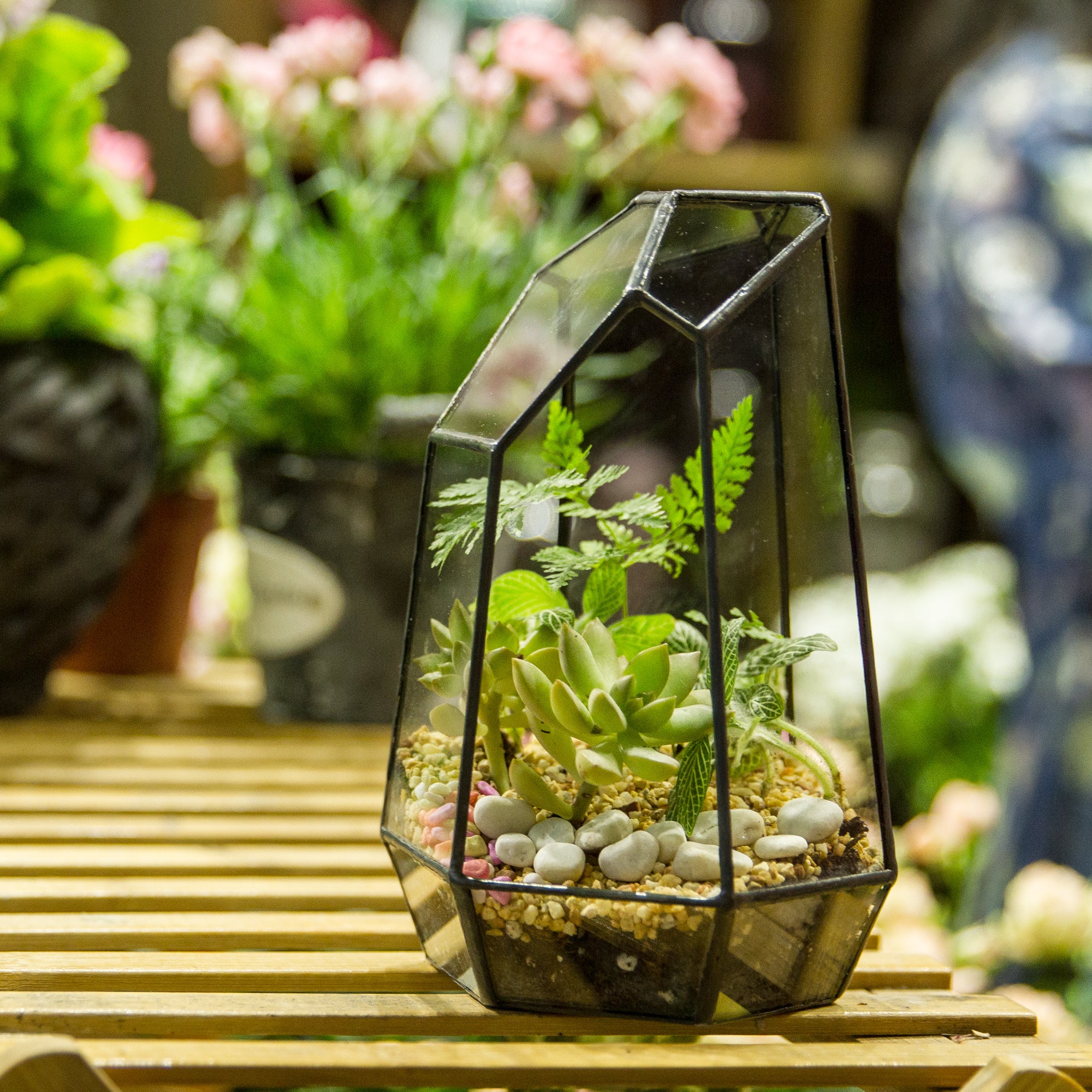 Handmade Irregular Tall Black Glass Geometric Terrarium for Succulents Moss Airplants - Medium PG01A2 - NCYPgarden