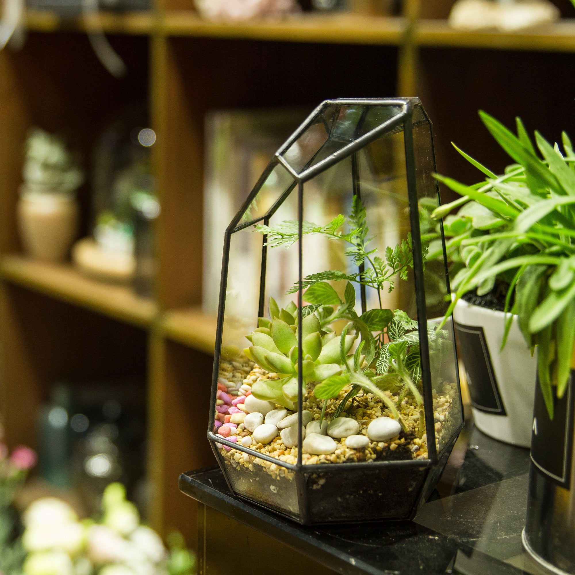 Handmade Irregular Tall Black Glass Geometric Terrarium for Succulents Moss Airplants - Medium PG01A2 - NCYPgarden