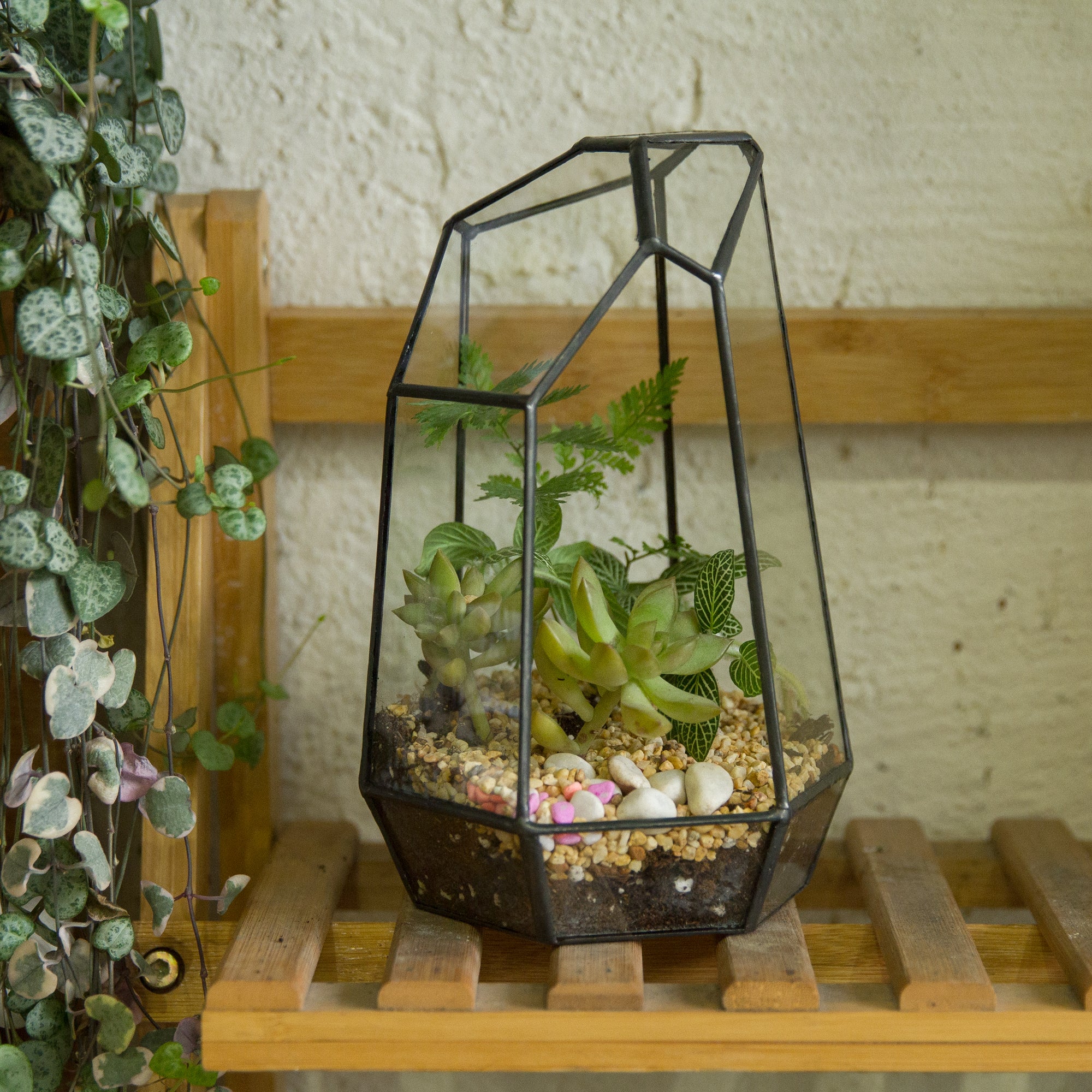 Handmade Irregular Tall Black Glass Geometric Terrarium for Succulents Moss Airplants - Medium PG01A2 - NCYPgarden
